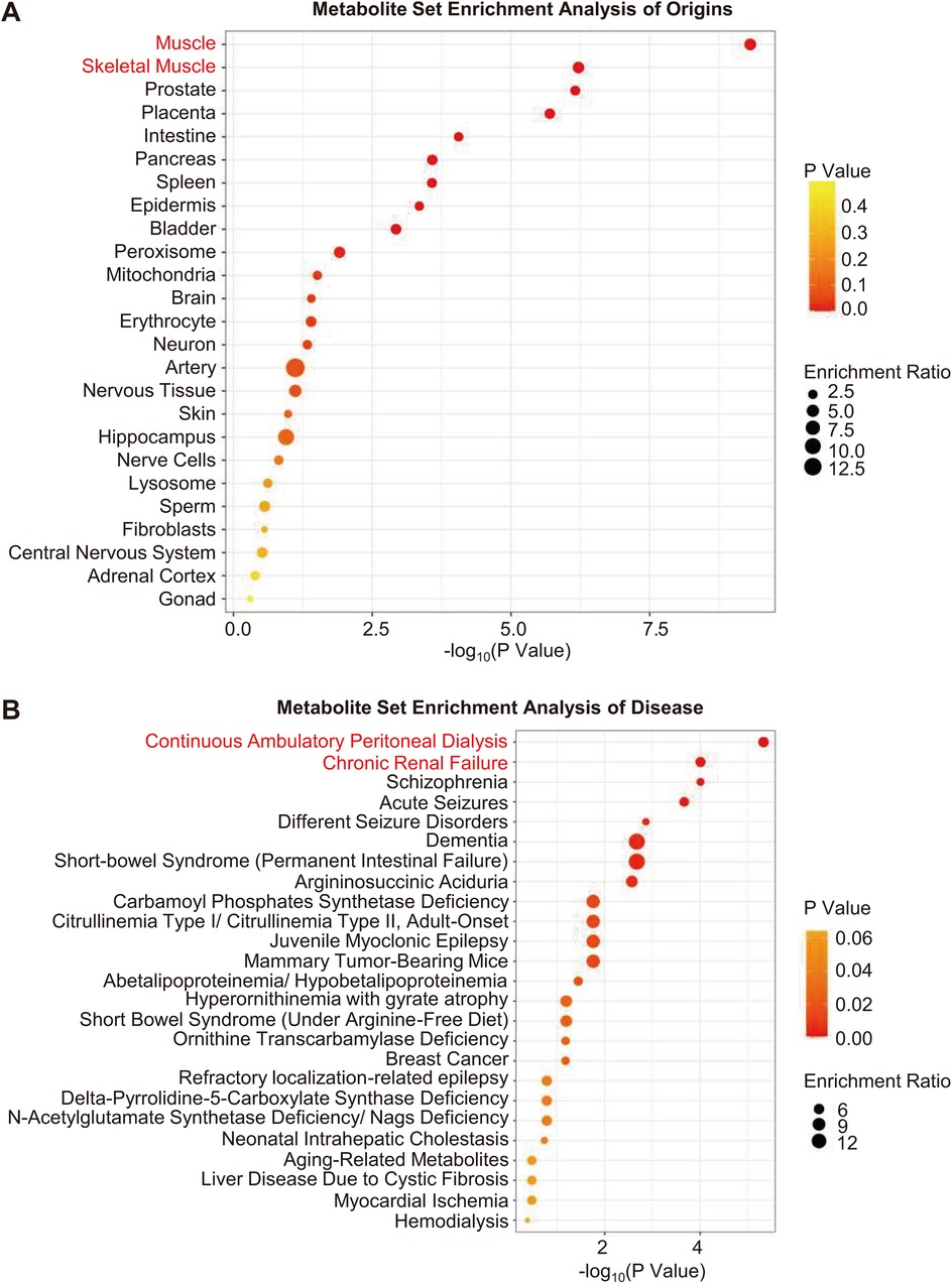Chart A shows metabolite set enrichment analysis of origins with various tissues plotted on the y-axis. Larger, darker circles indicate higher enrichment and smaller p-values. Chart B displays metabolite set enrichment analysis of diseases, listing conditions on the y-axis. Similarly, larger, darker circles represent greater enrichment and smaller p-values. Both charts use color and size gradients to visually represent p-values and enrichment ratios.