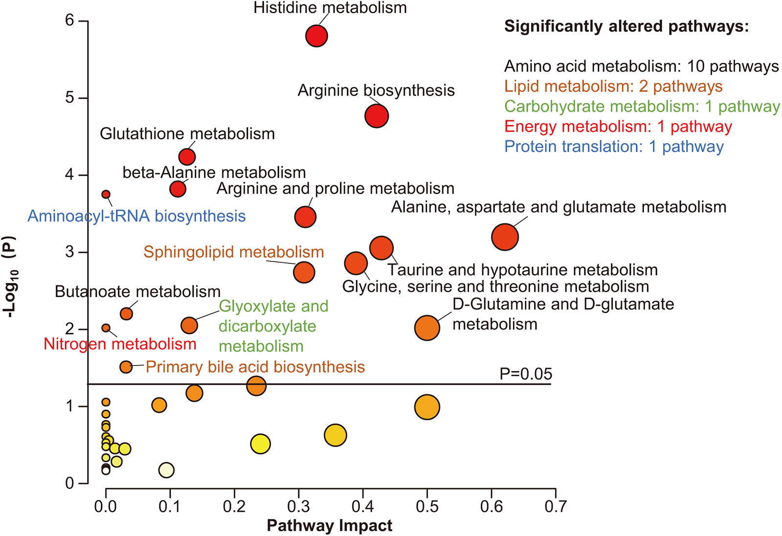 Bubble plot depicting significantly altered metabolic pathways. The x-axis shows pathway impact, and the y-axis indicates -log₁₀(p) values. Larger and darker bubbles represent pathways with higher significance, including histidine metabolism, arginine biosynthesis, and aminoacyl-tRNA biosynthesis. A significance threshold is marked at p=0.05. Categories highlighted include amino acid metabolism (in red), lipid metabolism (in orange), carbohydrate metabolism (in green), energy metabolism (in pink), and protein translation (in blue).