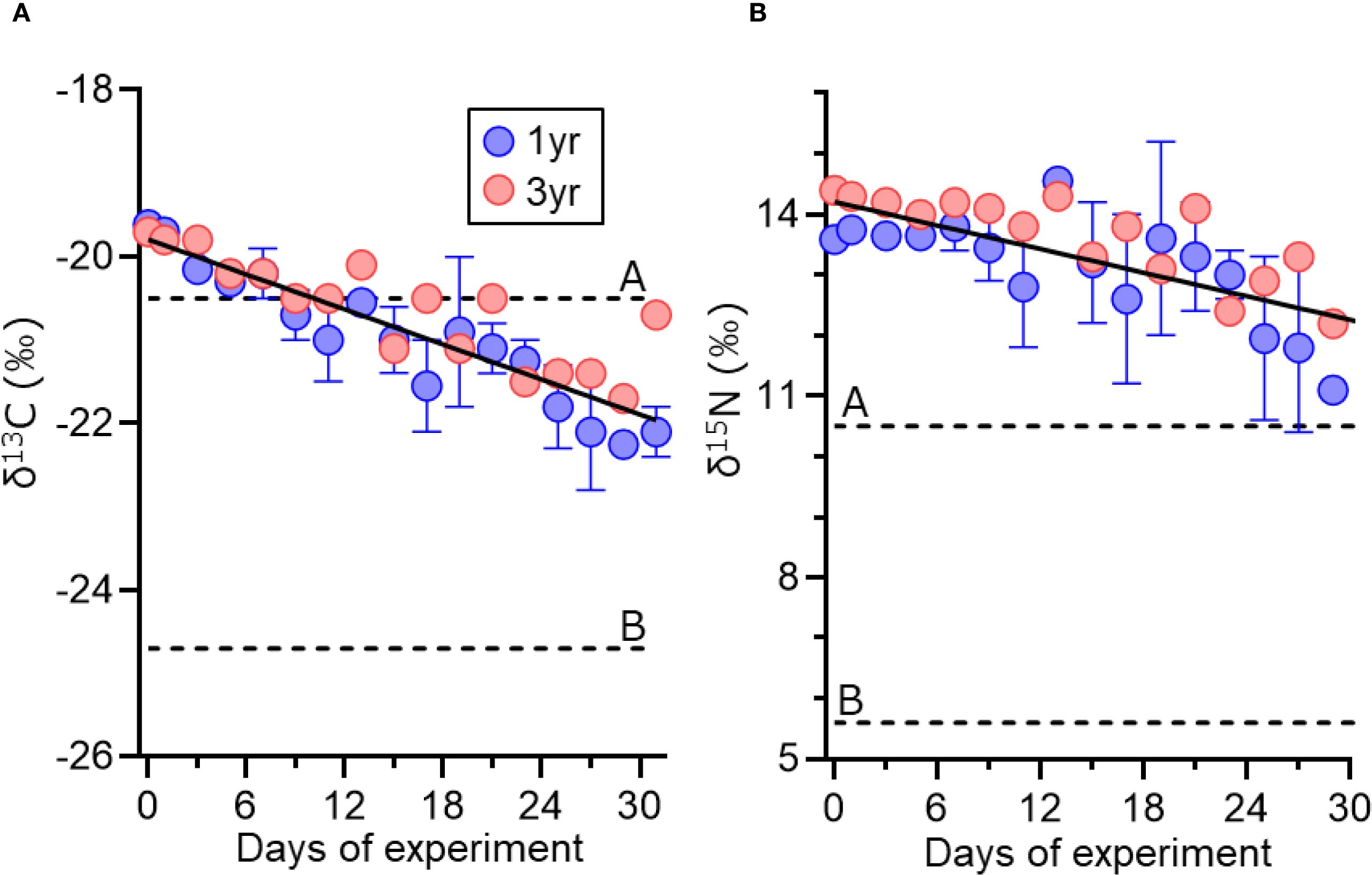 Line graphs depicting changes in delta carbon-13 and delta nitrogen-15 values over 31 days. Graph A (left) shows a decrease in δ13C values for one-year and three-year groups, represented by blue and red circles, respectively. Graph B (right) demonstrates a similar decline in δ15N values. Error bars indicate variability, dotted lines labeled A and B represent isotopic values of prey before and after the dietary shift. A legend identifies groups by color.