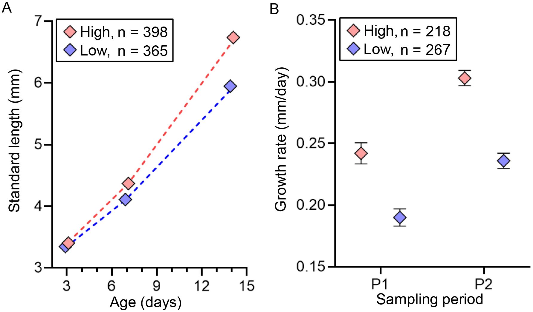 Two line graphs depicting growth data. The left graph shows standard length in millimeters over age in days, with high and low groups indicated by red and blue dashed lines, respectively. High group starts at 3.4 mm and ends at 6.7 mm, while low group starts at 3.3 mm and ends at 5.9 mm. The right graph illustrates growth rate in millimeters per day over two sampling periods, with high and low groups marked by red and blue diamonds. Growth rates are approximately 0.24 and 0.19 mm/day in P1, and 0.30 and 0.24 mm/day in P2 for high and low groups, respectively.