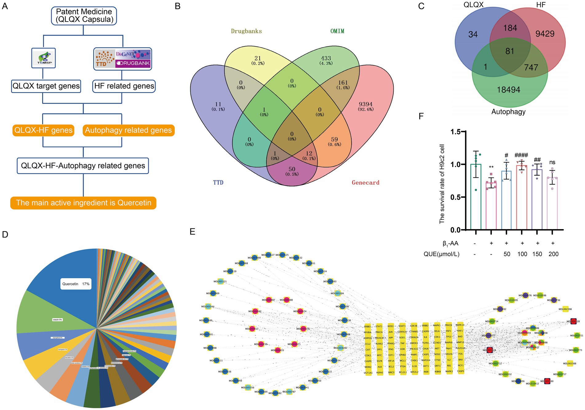 Panel A shows a network pharmacology workflow. Panel B integrates HF-related genes from DrugBank, OMIM, TTD and GeneCard. Panel C displays overlaps between Qiliqiangxin targets and autophagy-related genes. Panel D shows proportions of active components in Qiliqiangxin related to HF and autophagy, highlighting quercetin as most abundant. Panel E presents a compound-target network with square nodes for genes, colored nodes for herbs, and circles for active components. Panel F demonstrates quercetin's protection against β1-AA-induced H9c2 cardiomyocyte death, with 100 μM showing significant effect in CCK-8 assay.