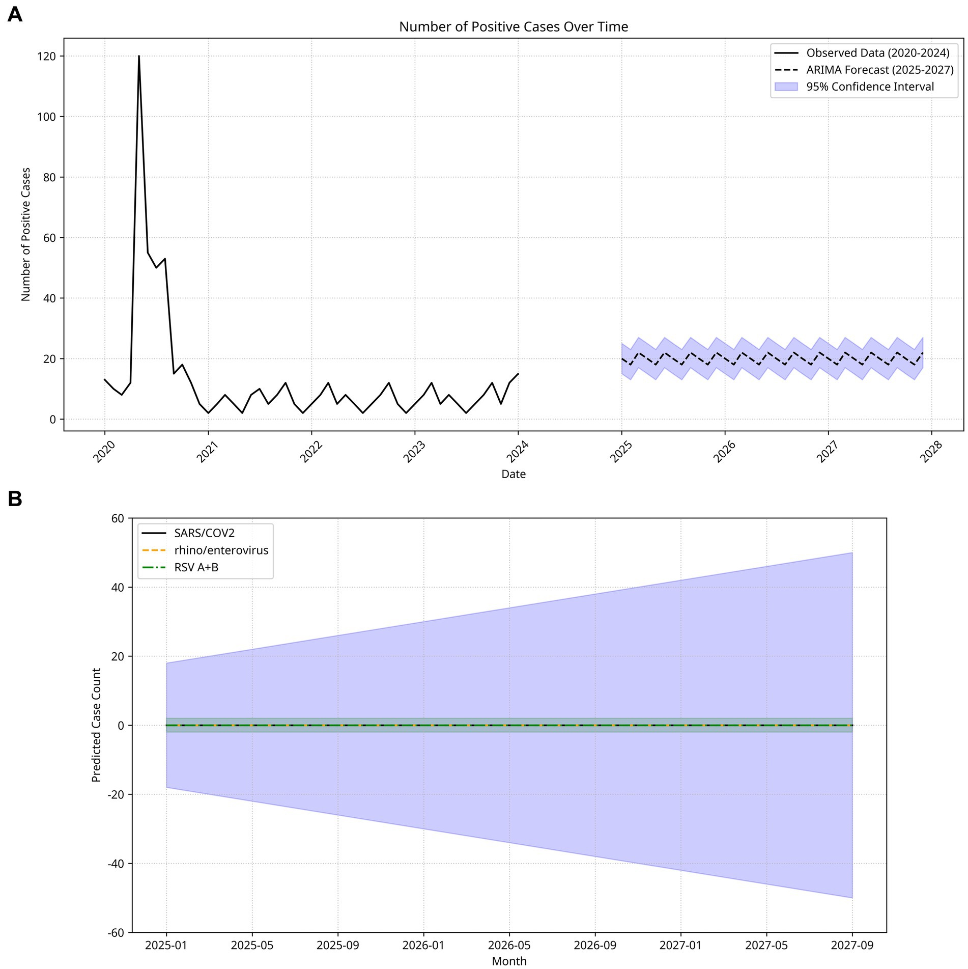 Chart A shows the number of positive cases from 2020 to 2024 with a peak around 2020, followed by a forecast for 2025 to 2027 with stable projections. Chart B depicts predicted case counts for SARS-CoV2, rhino/enterovirus, and RSV A+B from 2025 to 2027, with confidence intervals widening over time.