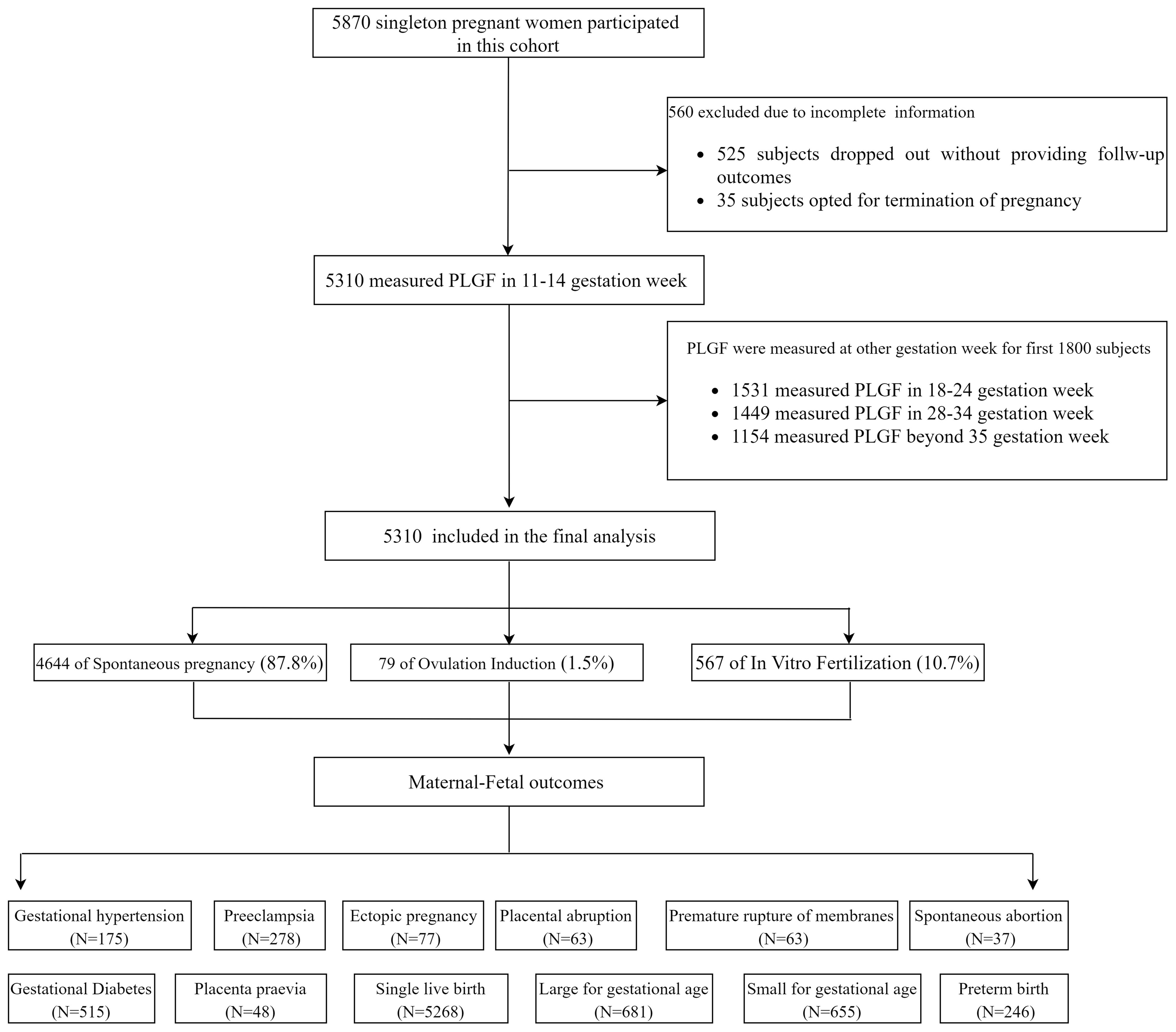 Flowchart depicting a study of 5,870 pregnant women. 560 were excluded for incomplete information. PLGF was measured at different gestation weeks, with data from 5,310 women used in the final analysis. The final cohort included 4,644 spontaneous pregnancies, 79 induced ovulations, and 567 in vitro fertilizations. Maternal-fetal outcomes recorded were gestational hypertension (175), preeclampsia (278), ectopic pregnancy (77), placental abruption (63), premature rupture of membranes (63), spontaneous abortion (37), gestational diabetes (515), placenta previa (48), single live birth (5,268), large for gestational age (681), small for gestational age (655), and preterm birth (246).
