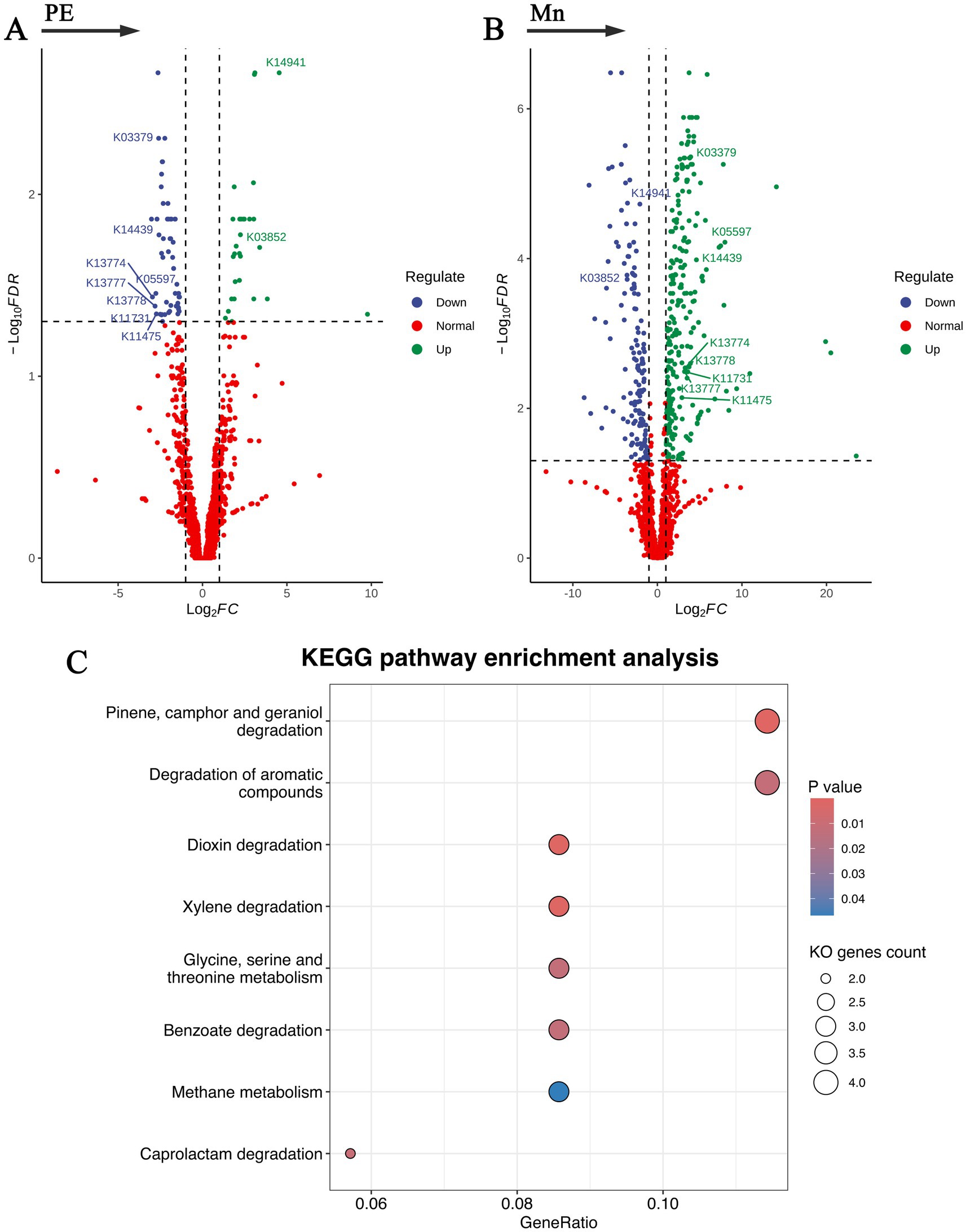 Volcano plots and a KEGG pathway enrichment analysis are shown. Plot A (PE) and plot B (Mn) depict gene regulation with colors indicating downregulated (blue), normal (red), and upregulated (green) genes based on log fold change (Log₂FC) and false discovery rate (Log₁₀FDR). Notable genes are labeled. The KEGG pathway chart (C) displays pathways by gene ratio, with bubble size indicating KEGG Orthology gene count and color reflecting p-values, highlighting pathways such as xylene degradation and methane metabolism.