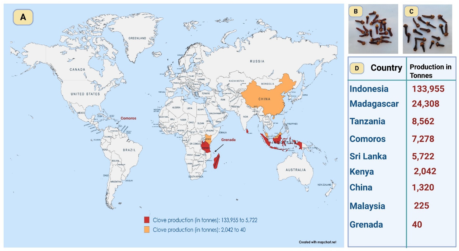 Map showing global clove production, highlighting countries like Indonesia, Madagascar, Tanzania, Comoros, and Sri Lanka, with production ranging from 133,955 to 5,722 tonnes. Additional countries like Kenya, China, Malaysia, and Grenada produce from 2,042 to 40 tonnes. Insets B and C show images of cloves, and a table lists production details.