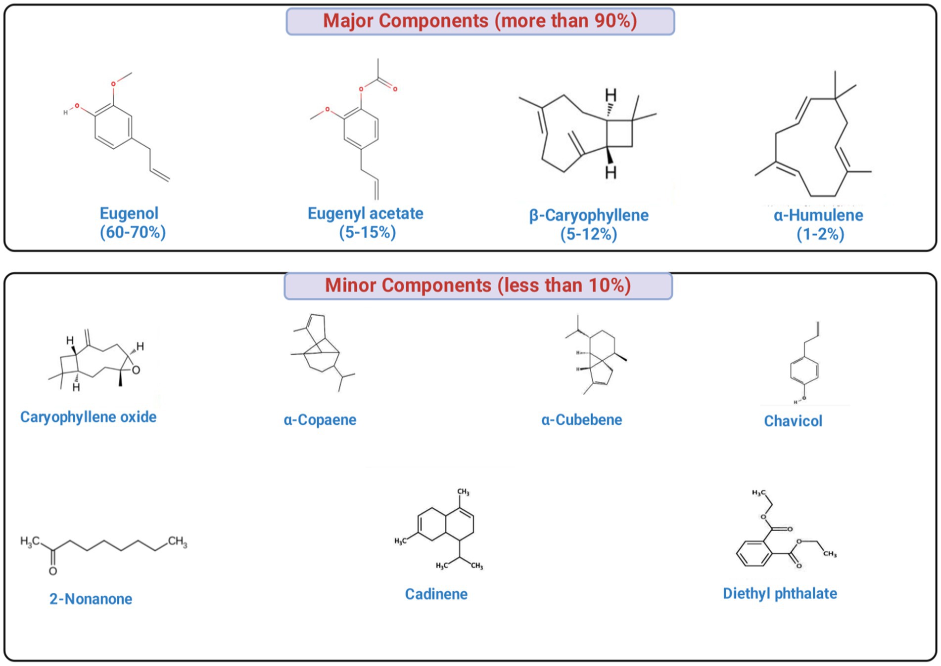 Chemical structures categorized as major and minor components. Major components include Eugenol (60-70%), Eugenyl acetate (5-15%), β-Caryophyllene (5-12%), and α-Humulene (1-2%). Minor components include Caryophyllene oxide, α-Copaene, α-Cubebene, Chavicol, 2-Nonanone, Cadinene, and Diethyl phthalate, each less than 10%.