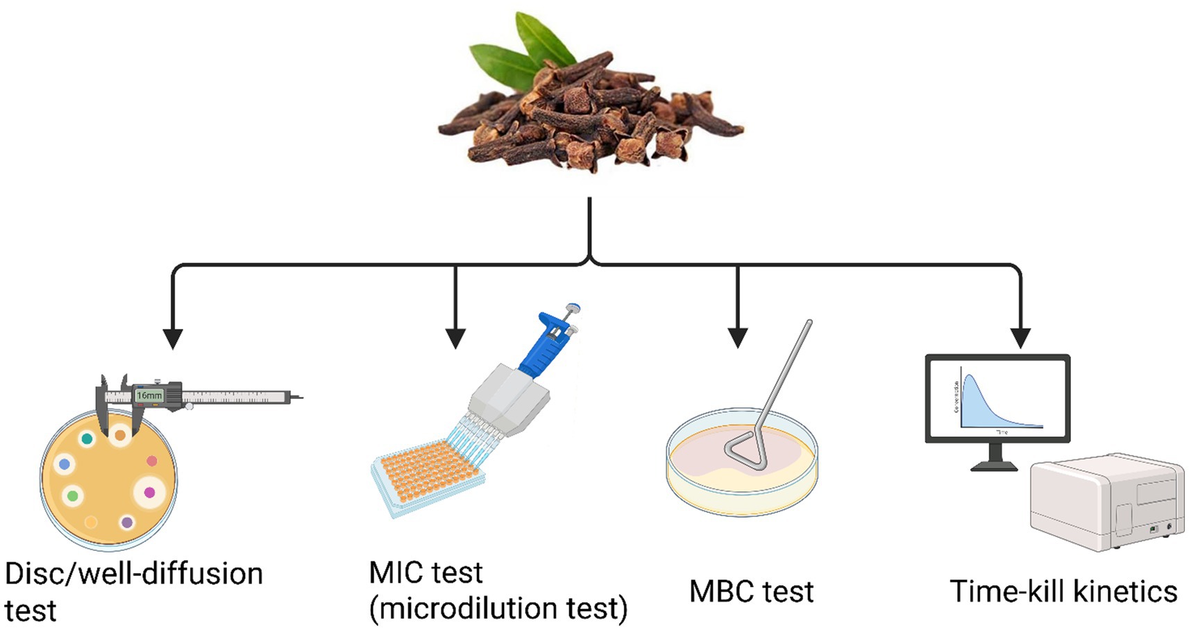 An illustration shows cloves at the top, with four arrows pointing to different antimicrobial testing methods: Disc/well-diffusion test with a caliper and petri dish, MIC test using a microdilution plate, MBC test with a petri dish and loop, and Time-kill kinetics displayed on a computer screen.
