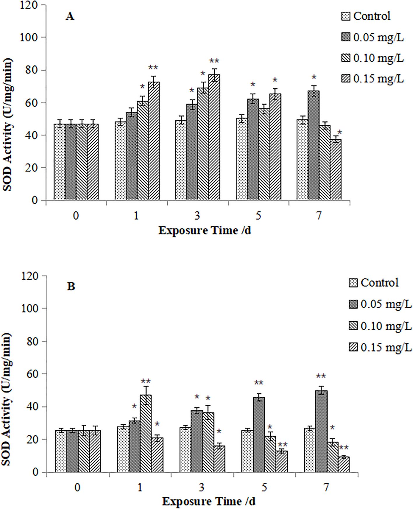 Bar graphs labeled A and B show SOD activity in U per mg per minute over different exposure times in days (0, 1, 3, 5, 7), with four conditions: Control, 0.05 mg/L, 0.10 mg/L, and 0.15 mg/L. The graphs indicate varying increases in SOD activity across conditions, with statistical significance at various points. Graph A shows higher activity levels compared to Graph B.