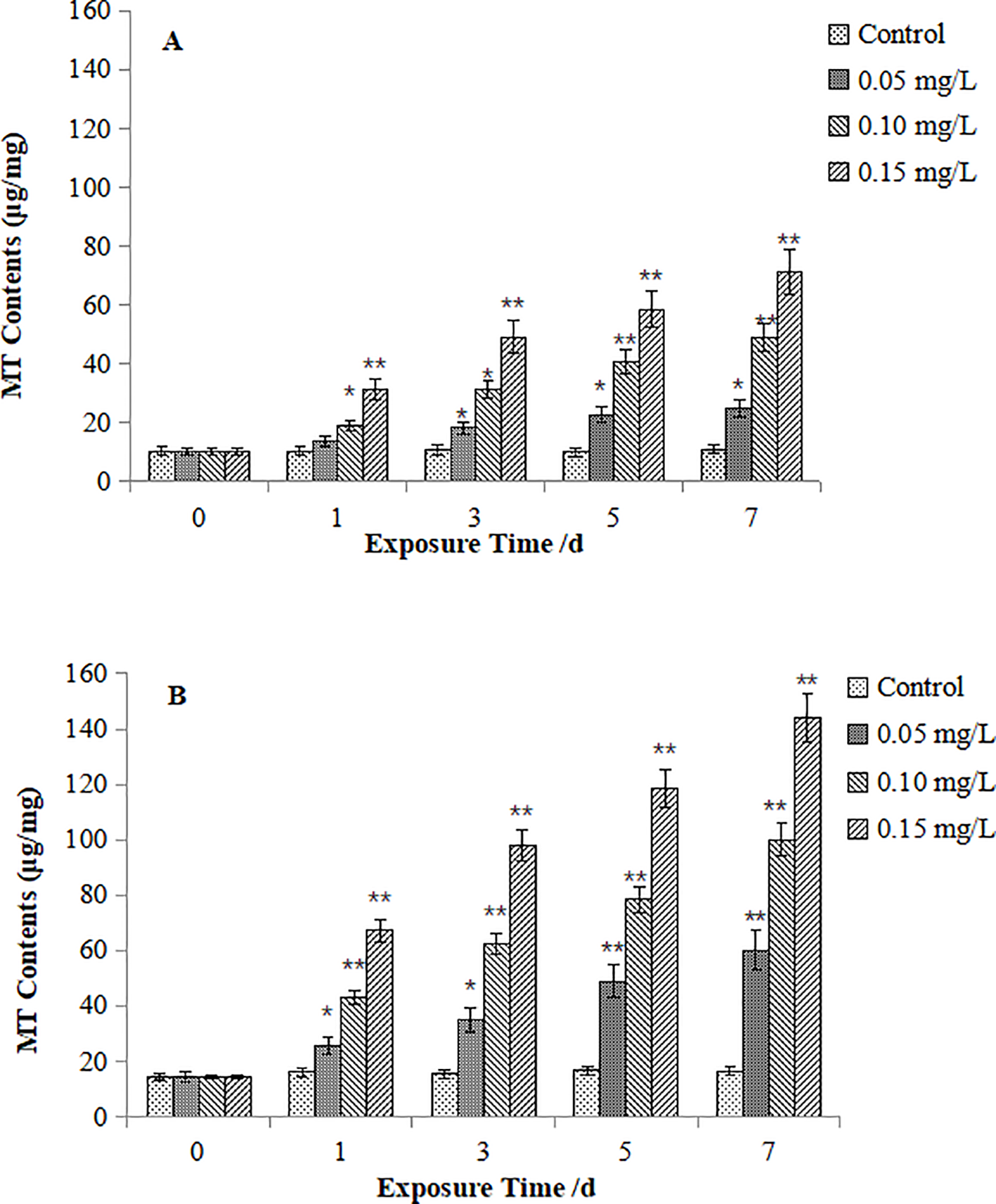 Bar charts labeled A and B show MT contents (micrograms per milligram) over exposure times of zero, one, three, five, and seven days. Four groups are compared: control, 0.05 mg/L, 0.10 mg/L, and 0.15 mg/L. MT content increases over time and with higher concentrations, peaking at seven days for the 0.15 mg/L group. Asterisks indicate statistical significance.