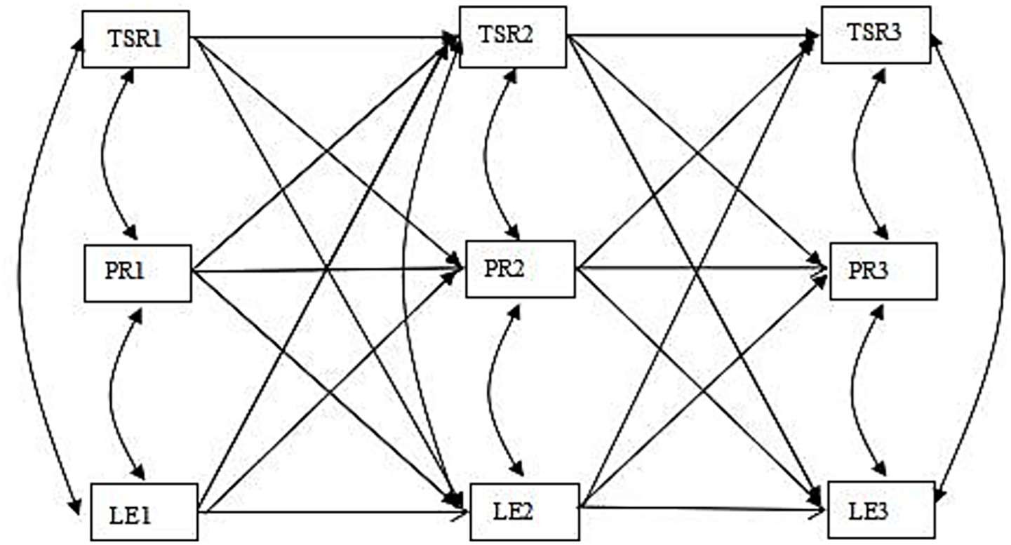 Flowchart depicting interconnected nodes labeled TSR1, TSR2, TSR3, PR1, PR2, PR3, LE1, LE2, and LE3. Arrows illustrate a complex network of interactions among these nodes, suggesting a multi-directional relationship.
