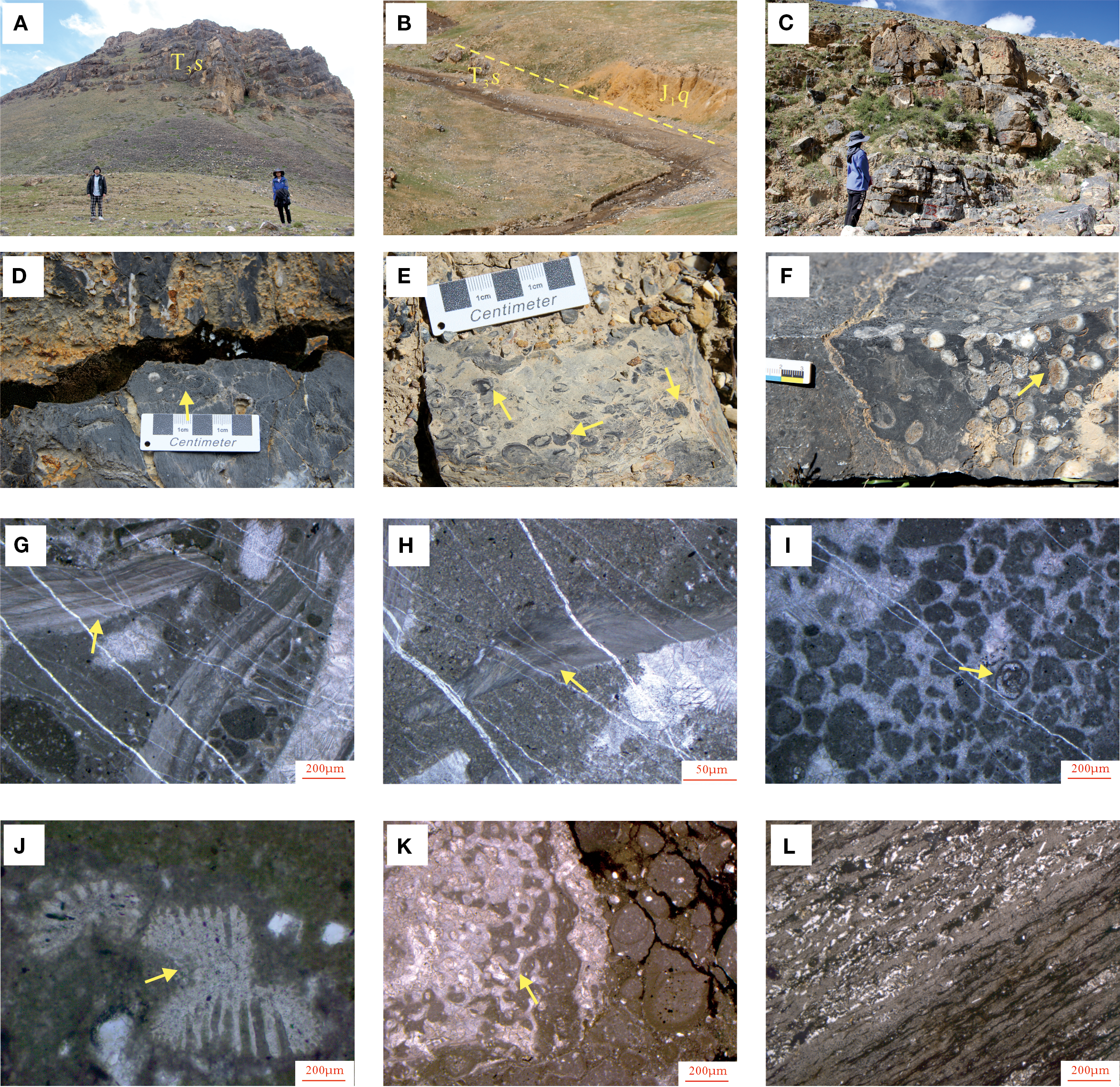 Geological study images showcasing different rock formations and microscopic views. Panel A to C: Various terrains with labels indicating specific formations and people for scale. Panel D to F: Close-up images of rocks with scale indicators, highlighting specific textures and formations with arrows. Panel G to L: Microscopic images of rock samples showing intricate patterns, textures, and mineral formations, each marked with arrows and scale bars indicating 200 micrometers.