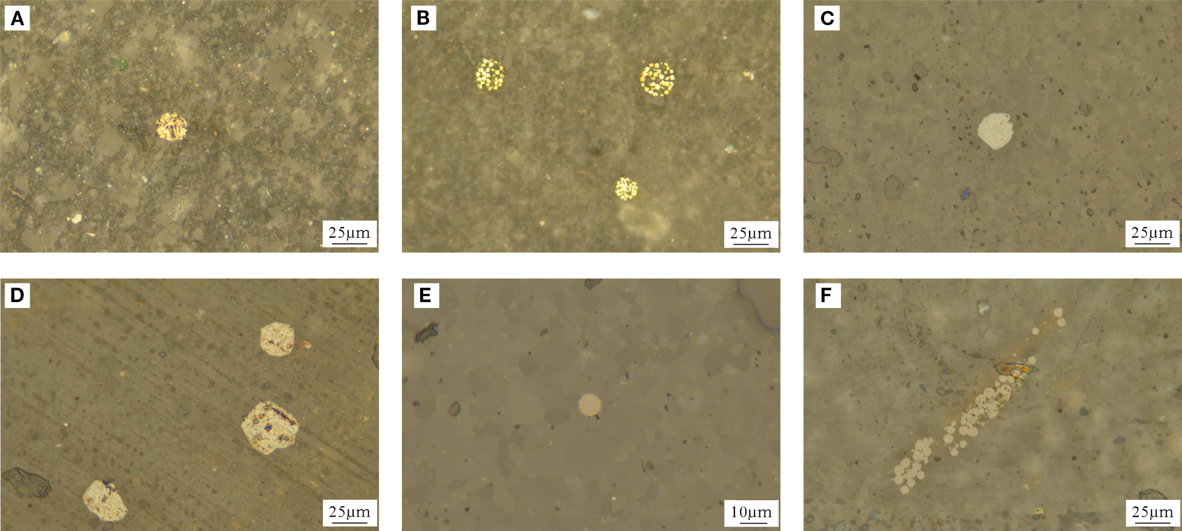 Microscopic images labeled A to F showcasing various round particles on a brownish, granular background. Image A shows a single particle; B features two clustered yellow particles; C has a solitary pale particle; D contains multiple irregularly shaped particles; E presents a single small particle on a 10-micron scale; F depicts a trail of small round particles aligned diagonally. Each image is scaled for measurement reference.