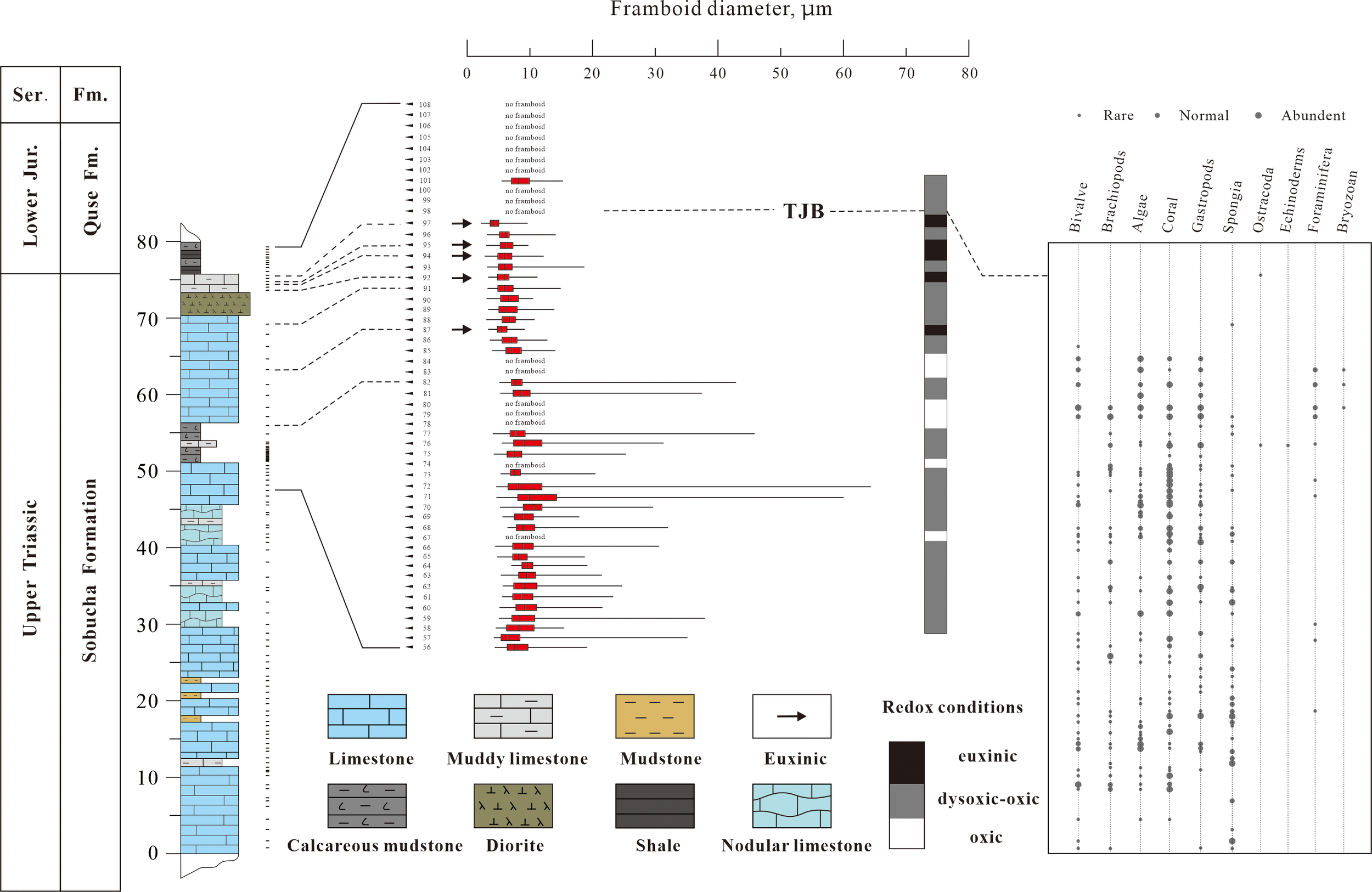 Geological diagram depicting sedimentary formations from the Upper Triassic Sobucha Formation to the Lower Jurassic Quse Formation. It illustrates lithology columns showing layers like limestone, mudstone, and shale with symbols for various rock types. Framboid diameter data is shown with redox conditions marked as euxinic, dysoxic-oxic, and oxic. The right section displays fossil abundance of bivalves, brachiopods, algae, coral, and more, categorized by rarity. A key for lithology and redox conditions is included, with framboid data linked to biota distribution.