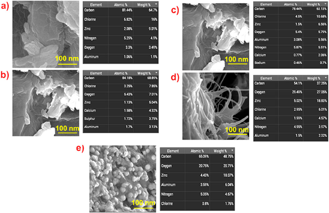 Electron micrographs labeled a) to e) with corresponding tables of elemental compositions. Each image shows varying surface textures at 100 nanometer scale, accompanied by charts listing atomic and weight percentages of elements such as carbon, chlorine, zinc, nitrogen, and oxygen.