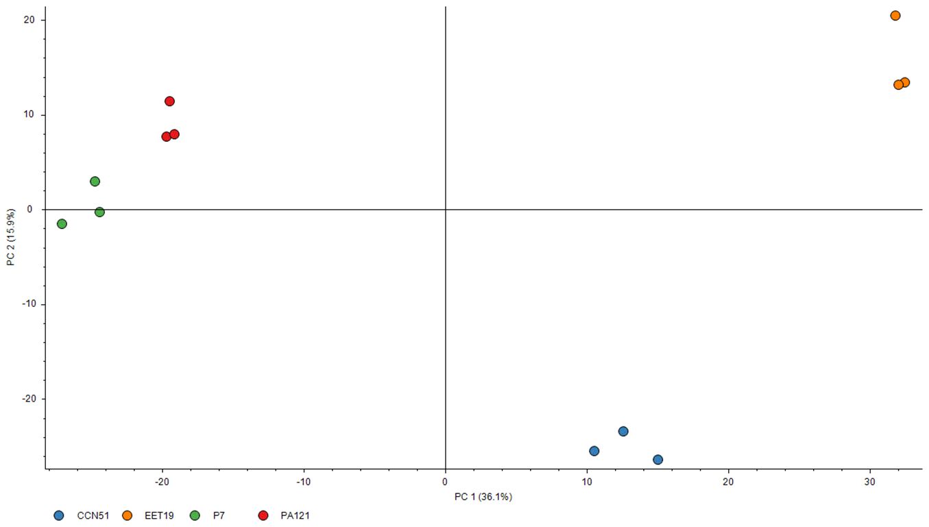 Scatter plot showing a principal component analysis with PC1 (36.1%) on the x-axis and PC2 (15.9%) on the y-axis. Data points are color-coded by sample type: blue for CCN51, orange for EET19, green for P7, and red for PA121. Points are grouped based on their genetic similarities.