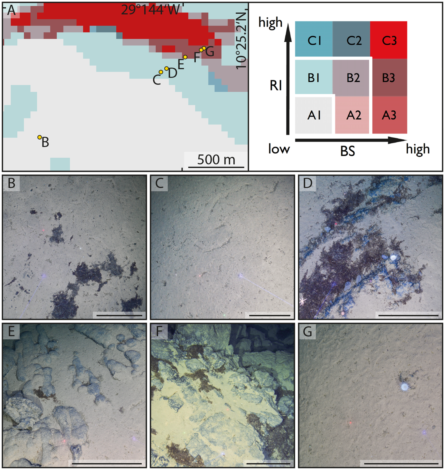 Map and seabed images, with seven panels labeled A to G. Panel A contains a map with coordinates and color-coded regions indicating different RI and BS levels. Panels B to G show seabed photographs with varying textures and presence of marine life, such as rocks and algae, at different locations marked on the map. A diagram in Panel A explains the classification system using a grid labeled AI to C3, representing increasing RI and BS values.