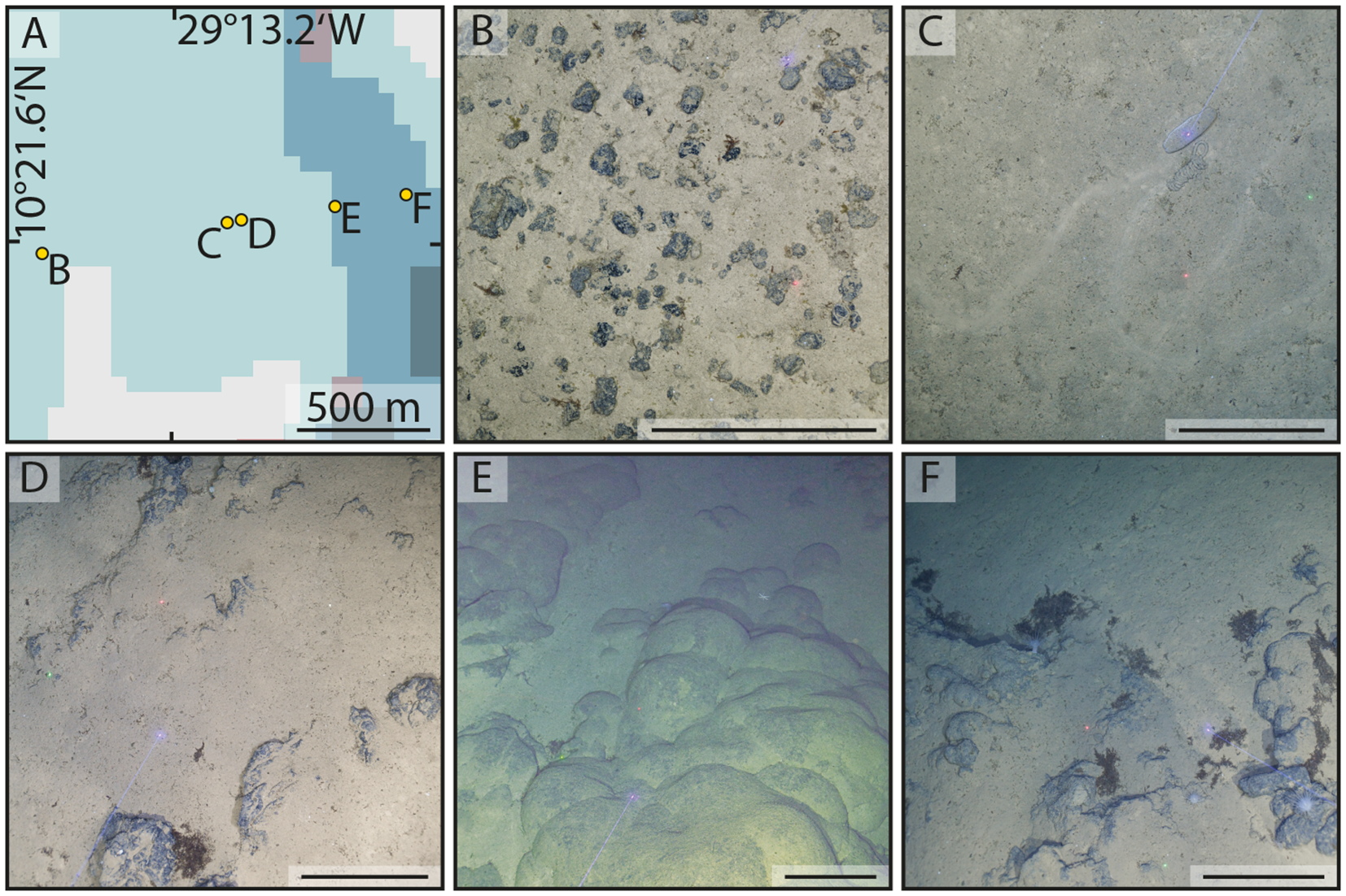 Panel of six images labeled A to F. A shows a map with yellow dots marked C to F and coordinates noted. B to F depict various ocean floor scenes. B features scattered rocks on sediment. C shows a flat, smooth area with a few marks. D displays a rougher terrain with small crevices. E includes larger, rounded structures resembling pillow formations. F shows a rocky surface with dark patches and scattered formations. Each image includes a scale bar.