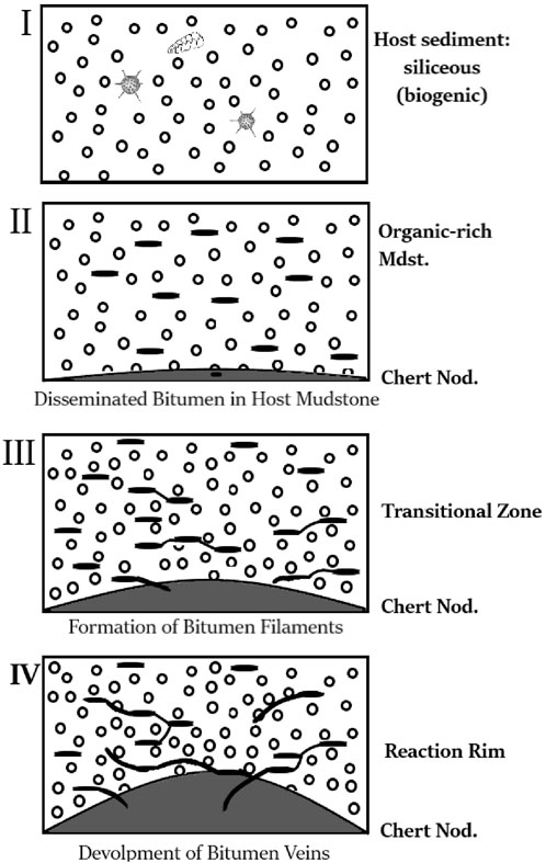 Four diagrams labeled I to IV illustrate the formation of bitumen veins. Diagram I shows siliceous host sediment with biogenic material. Diagram II displays organic-rich mudstone with bitumen dispersed in the host mudstone. Diagram III depicts a transitional zone with formation of bitumen filaments above chert nodules. Diagram IV shows the development of bitumen veins with a reaction rim around chert nodules.
