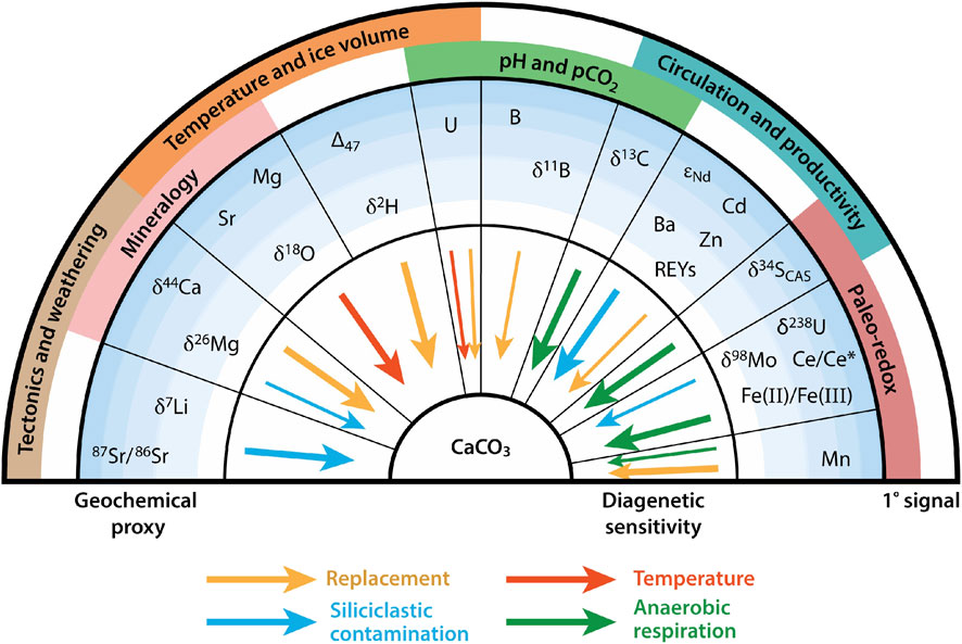 Diagram showing geochemical proxies and diagenetic sensitivity in carbonate (CaCO3) analysis. It includes sections labeled with factors such as temperature, pH, circulation, and paleo-redox, alongside elements and isotopes like Mg, Sr, and U. Arrows in various colors indicate replacement, siliciclastic contamination, temperature, and anaerobic respiration effects.