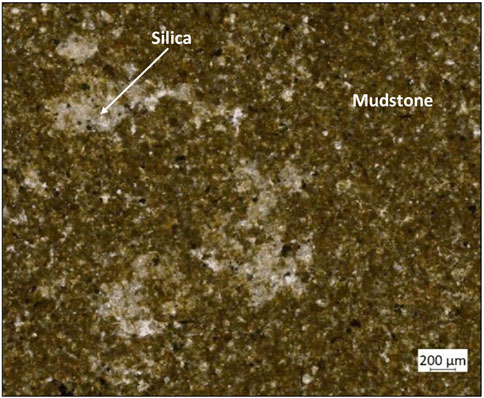 Microscopic view of mudstone with labeled components. The image shows a brown textured surface, with a lighter area marked as