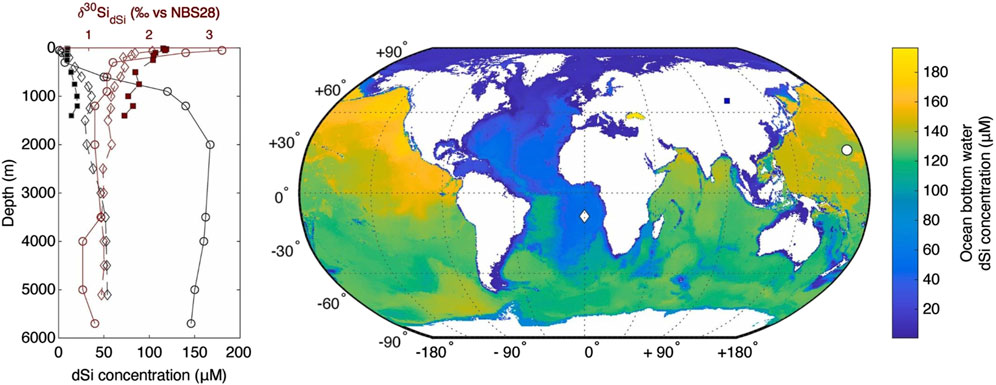 Graph and map showing data on dissolved silicon (dSi) concentration. The left graph plots depth versus dSi concentration in micromoles per liter with various marked points. The right map illustrates global ocean bottom water dSi concentration with a color gradient, ranging from blue (low) to yellow (high). A color bar indicates the scale from zero to one hundred eighty micromoles per liter.