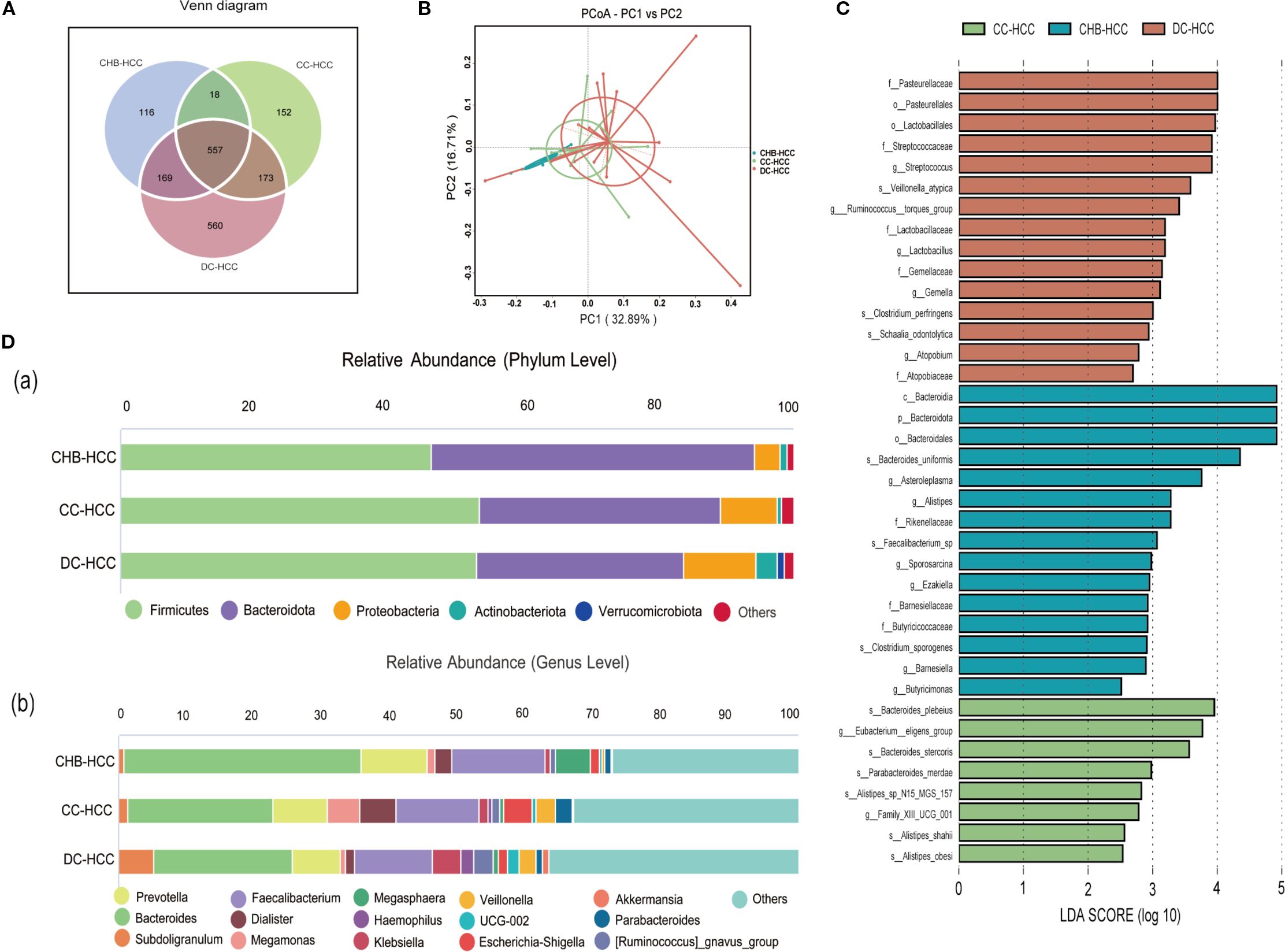 A composite image consisting of four parts: A) Venn diagram showing the shared and unique elements among CHB-HCC, CC-HCC, and DC-HCC groups. B) PCoA plot displaying the principal coordinate analysis of the groups, highlighting variance. C) Bar chart of LDA scores indicating the differential abundance of taxa across groups, categorized by color. D) Two bar charts: (a) relative abundance at the phylum level highlighting Firmicutes and Bacteroidota among others, and (b) relative abundance at the genus level illustrating diversity across groups with multiple colors representing various genera.
