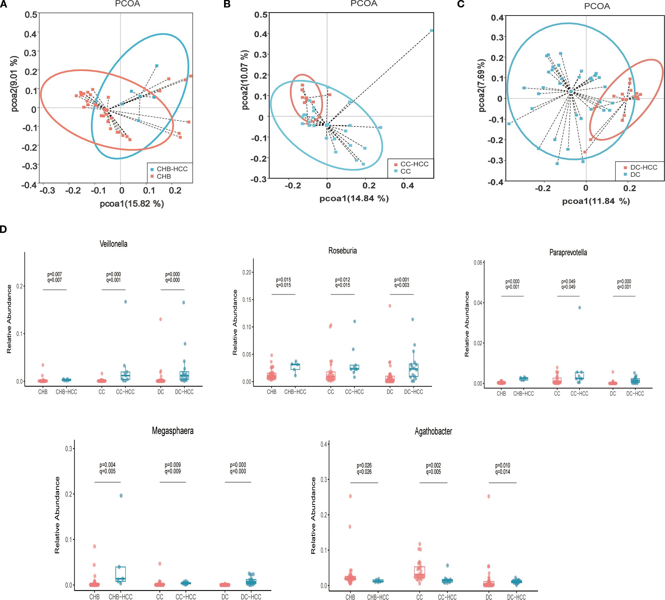 Three PCoA plots (A, B, C) show microbial community differences among groups with ellipses and dotted lines indicating clustering. Plot D displays box plots of relative abundance for five bacterial genera, with significant p-values marked. Groups compared are CHB, CHB-HCC, CC, CC-HCC, DC, and DC-HCC.