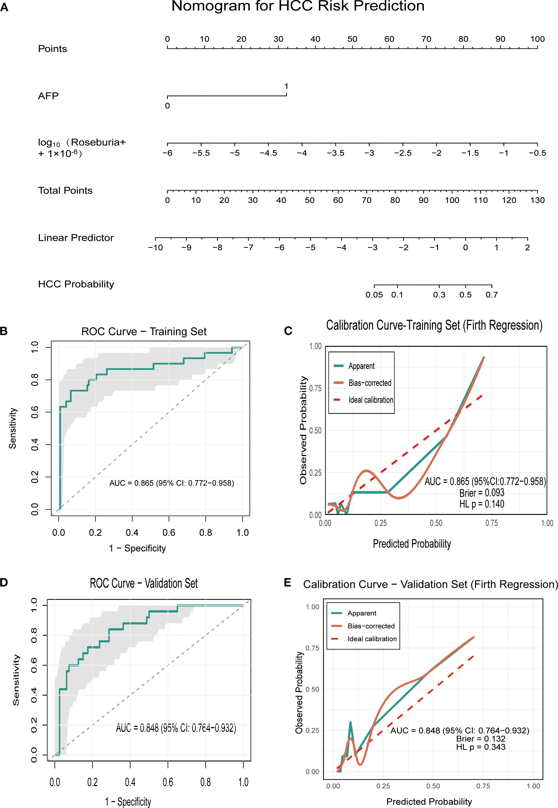 Nomogram and graphs for HCC risk prediction. Panel A shows a nomogram incorporating AFP and Roseburia levels to predict HCC probability. Panels B and D exhibit ROC curves for the training and validation sets, with AUC values of 0.865 and 0.848, respectively. Panels C and E display calibration curves for both sets, showing observed versus predicted probabilities with bias-corrected and ideal calibration lines.