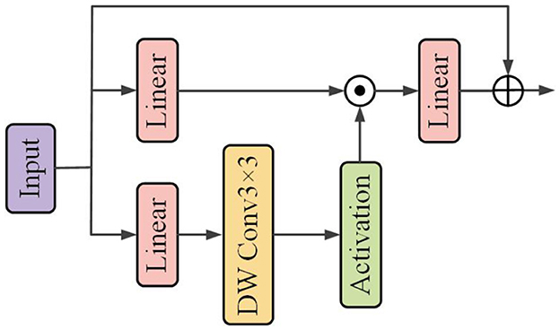 Flowchart illustrating a neural network architecture. It starts with an input, followed by two parallel linear layers. The first connects directly to an addition operation. The second goes through a depthwise convolution labeled “DW Conv 3x3” and an activation layer before being added to the linear layer. The final result is the output.