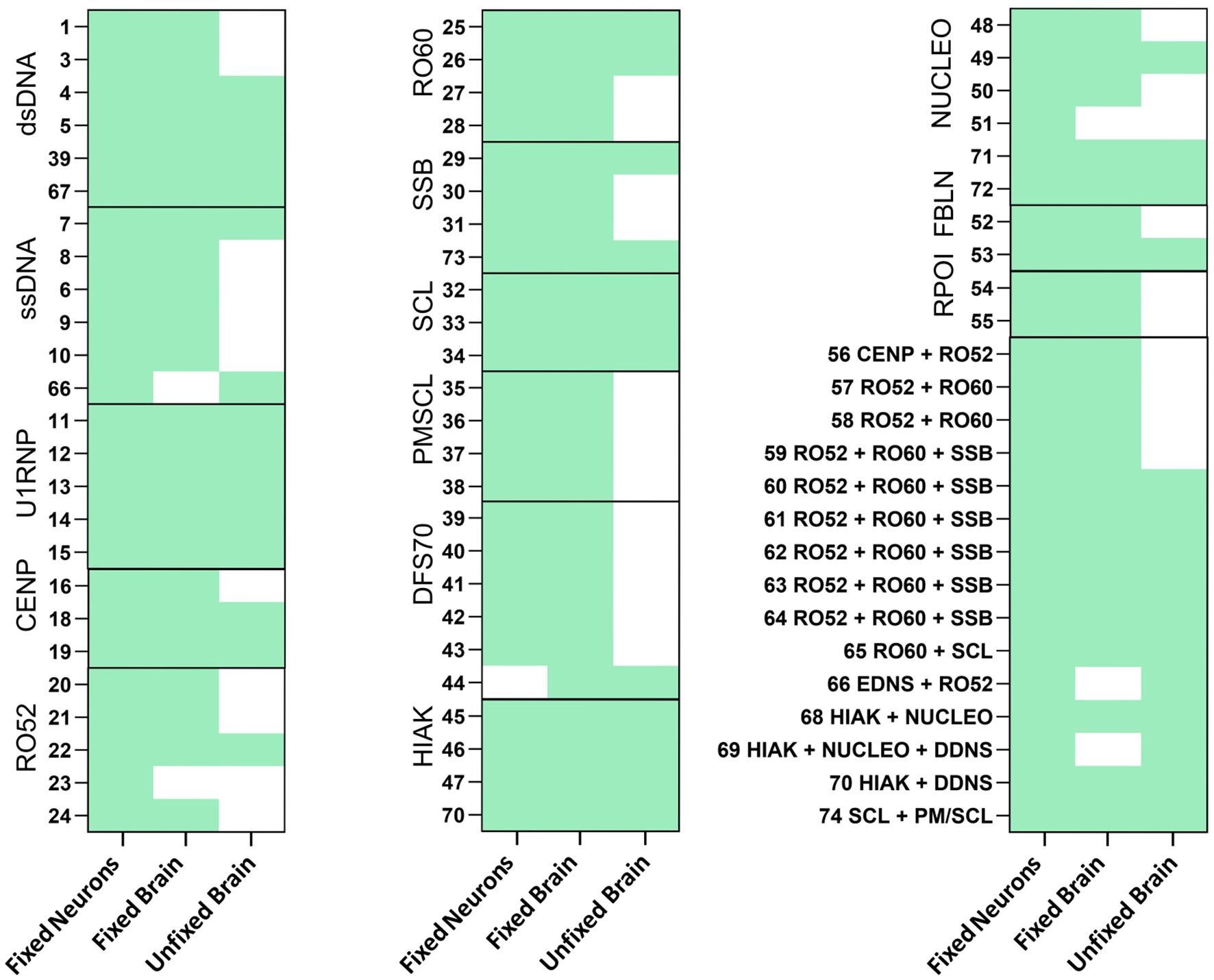 Binary heat map with different antibodies labeled on the sides such as dsDNA, ssDNA, U1RNP, RO60, among others and the colums indicating the type of tissue sample tested including Fixed neurons, Fixed brain and Unfixed brain. The square is colored green if the antibody reacted to the tissue.