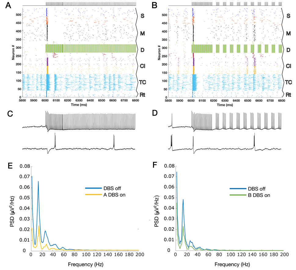 A series of graphs display neuronal activity and power spectral density (PSD) comparisons. Panels A and B show neuron raster plots with DBS interventions, labeled from neuron #1 to #500 over time with varying marker colors. Panels C and D display corresponding neuronal firing rates as line graphs. Panels E and F illustrate PSD with frequency in Hertz on the x-axis and PSD in microvolts squared per Hertz on the y-axis. Different colors (blue for DBS off, yellow and green for DBS on) represent conditions.