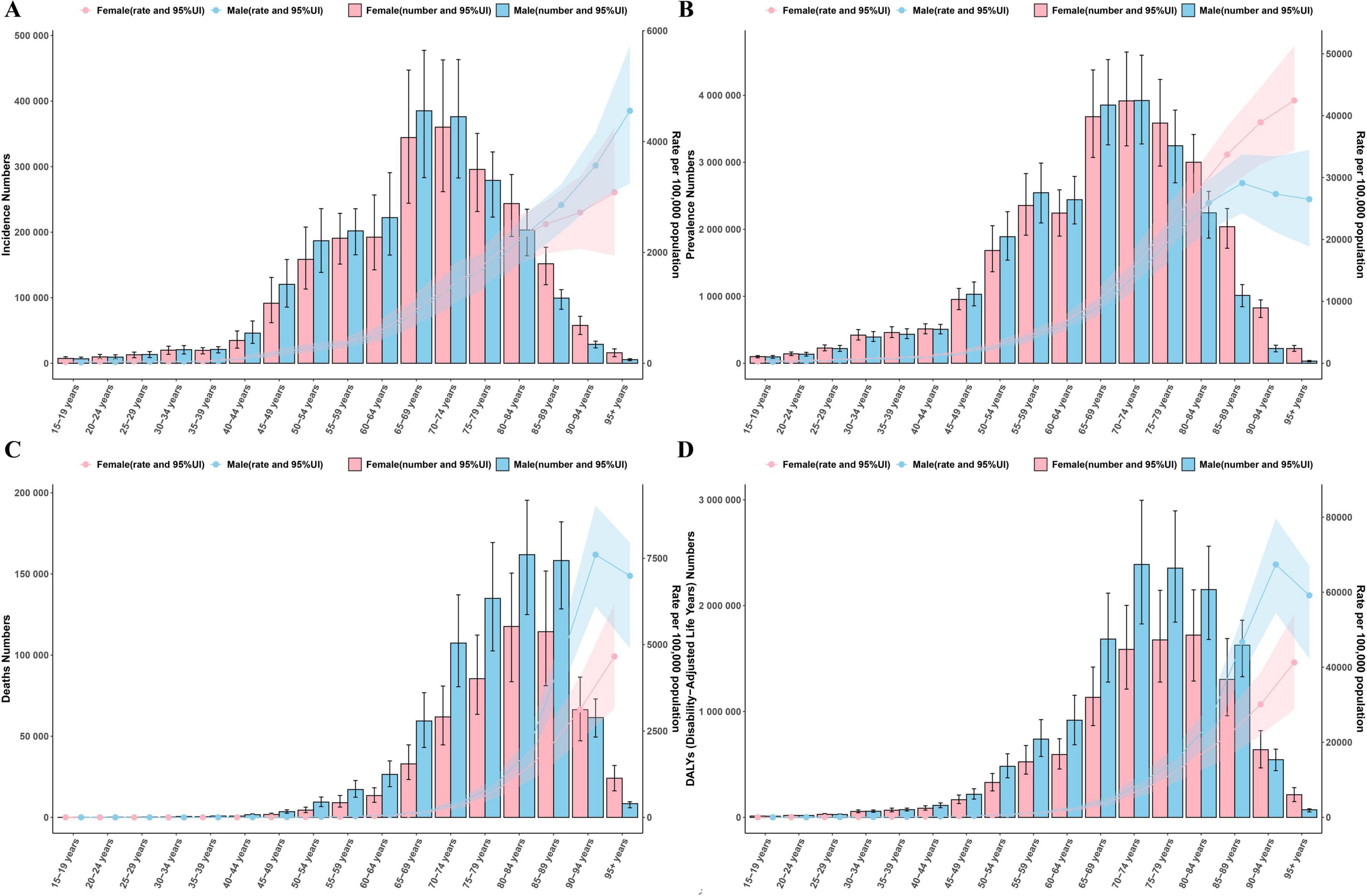 Four-panel data visualization showing statistics by age group from 1990 to 2019. Panel A displays incidence numbers, B shows mortality rates, C illustrates death numbers, and D presents disability-adjusted life years (DALYs). Each panel contains bar graphs for male and female data, colored blue and pink respectively, with 95% uncertainty intervals, depicting trends over the years.