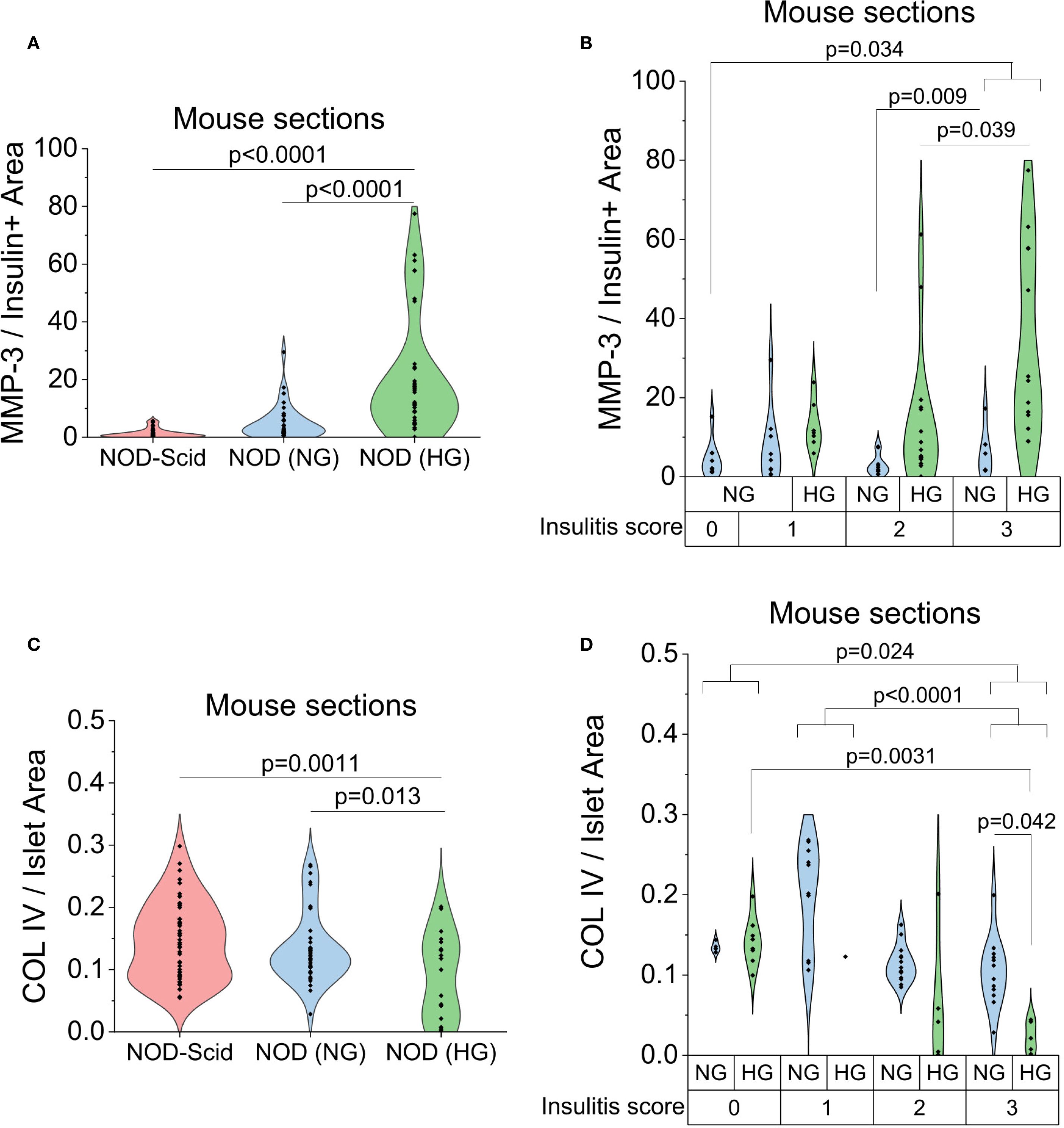 Violin plots in four panels show data from mouse sections. Panel A: MMP-3/Insulin+ Area for NOD-Scid, NOD (NG), and NOD (HG) with p-values <0.0001. Panel B: MMP-3/Insulin+ Area by insulitis score (0-3) with significant p-values. Panel C: COL IV/Islet Area for NOD-Scid, NOD (NG), and NOD (HG) with p-values 0.0011 and 0.013. Panel D: COL IV/Islet Area by insulitis score (0-3) with multiple significant p-values.