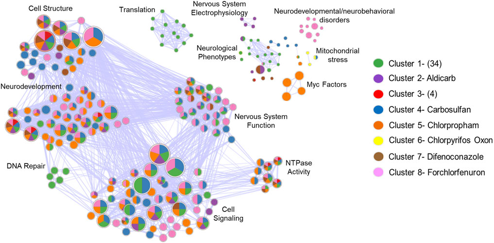Network diagram showing clusters of nodes connected by lines, representing different biological functions. Each node is colored based on its cluster, with labels like Cell Structure, Neurodevelopment, and Nervous System Function. A legend indicates eight clusters, including Aldicarb, Carbosulfan, and Chlorpyrifos Oxon, each with unique colors. Pie charts within nodes visualize the distribution of functions.