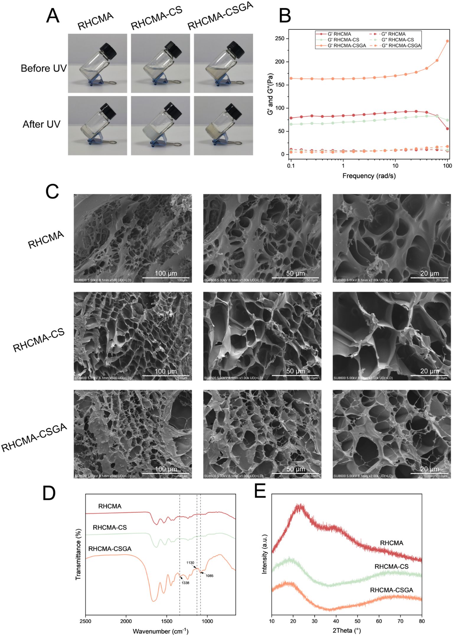 Panel A shows vials labeled RHCMA, RHCMA-CS, and RHCMA-CSGA before and after UV exposure, with contents initially clear and becoming opaque. Panel B is a graph displaying G' and G'' versus frequency for the three samples, showing different mechanical properties. Panel C includes SEM images of the samples at different magnifications, revealing porous structures. Panel D is an FTIR spectrum depicting transmittance across wavenumbers, highlighting specific peak differences between the samples. Panel E is an XRD graph showing intensity versus 2Theta for the samples, indicating crystalline structure variations.