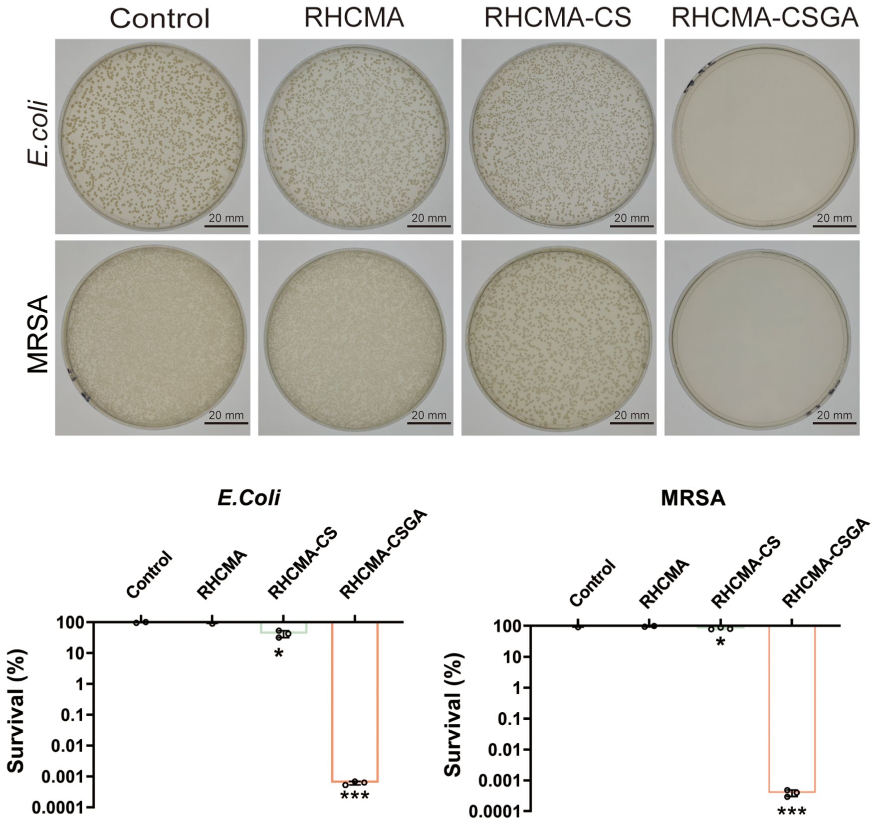 Petri dish images and survival rate graphs showing effects of different treatments on E. coli and MRSA. Top row depicts bacterial growth under Control, RHCMA, RHCMA-CS, and RHCMA-CSGA conditions. Bottom graphs illustrate significant reduction in bacterial survival with specific treatments, indicated by asterisks and connecting lines.