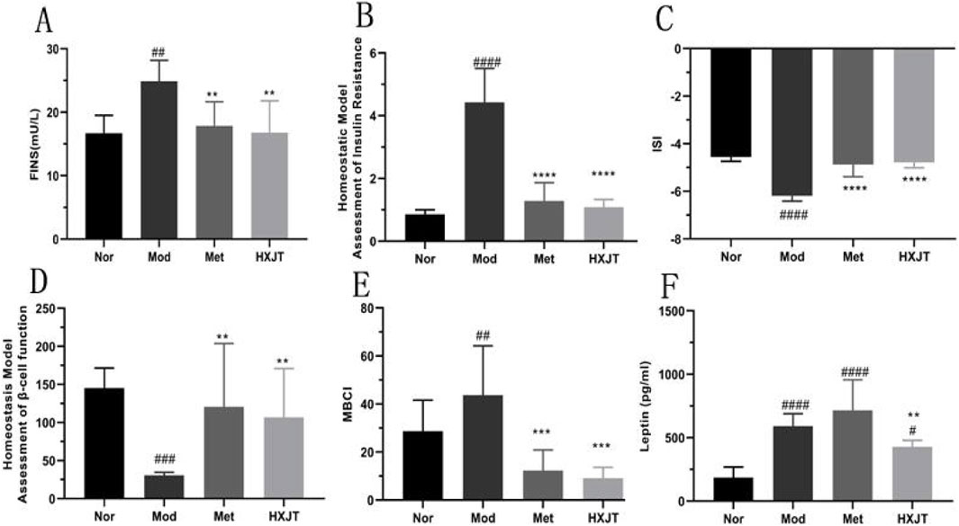 Bar graphs A to F comparing measurements across four groups: Nor, Mod, Met, and HXJT. Each graph represents different metrics: A shows FINS levels; B shows insulin resistance assessment; C shows ISI; D shows β-cell function assessment; E shows MBCI; F shows leptin levels. Statistical significance is indicated by asterisks and hash marks.