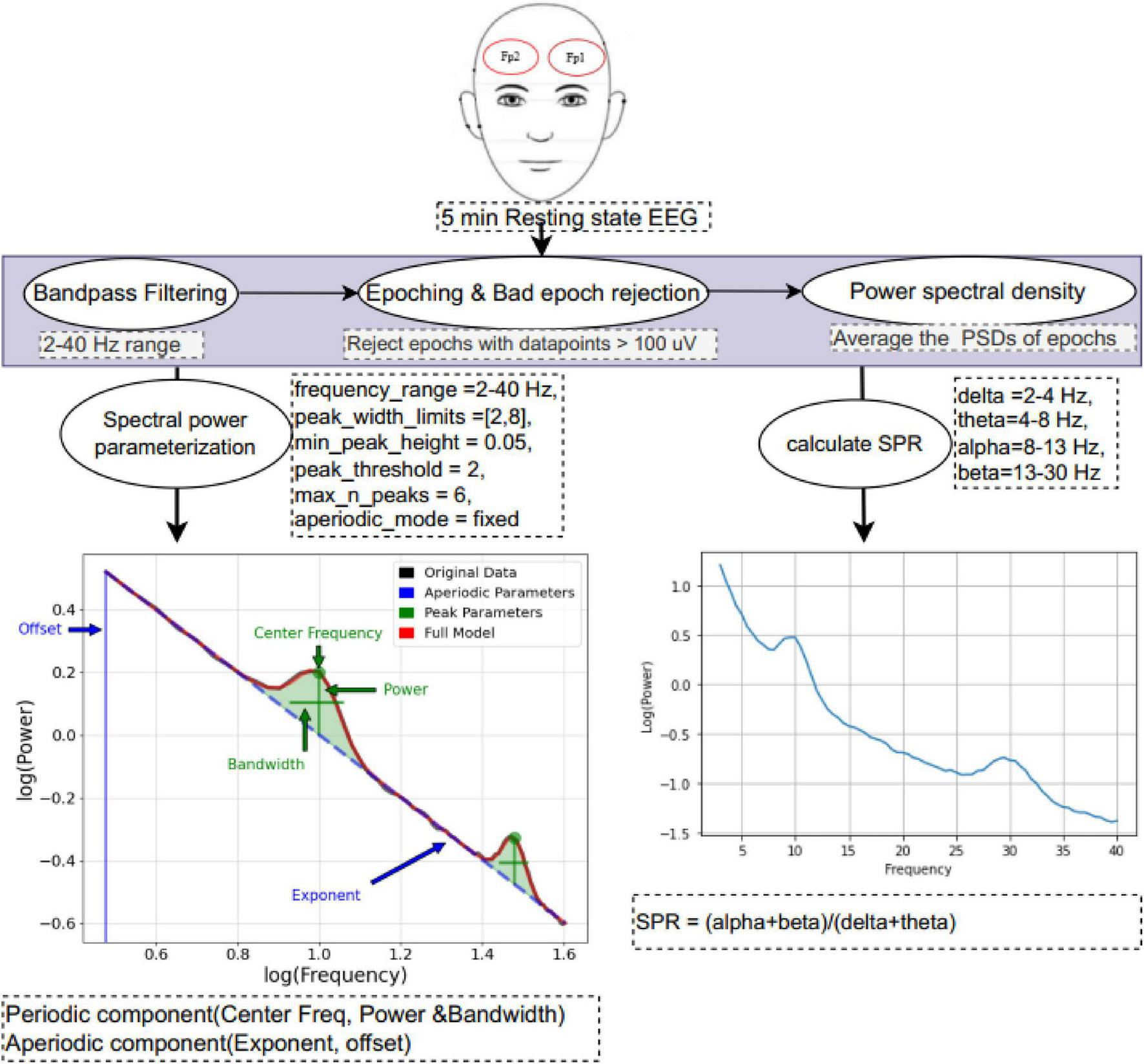 Flowchart illustrating a five-minute resting state EEG analysis process with bandpass filtering and epoch rejection. Spectral power is parameterized using frequency, peak, and aperiodic parameters. Graphs depict spectral characteristics and power spectral density. Calculations include spectral power ratio with frequency bands: delta (2-4 Hz), theta (4-8 Hz), alpha (8-13 Hz), and beta (13-30 Hz).