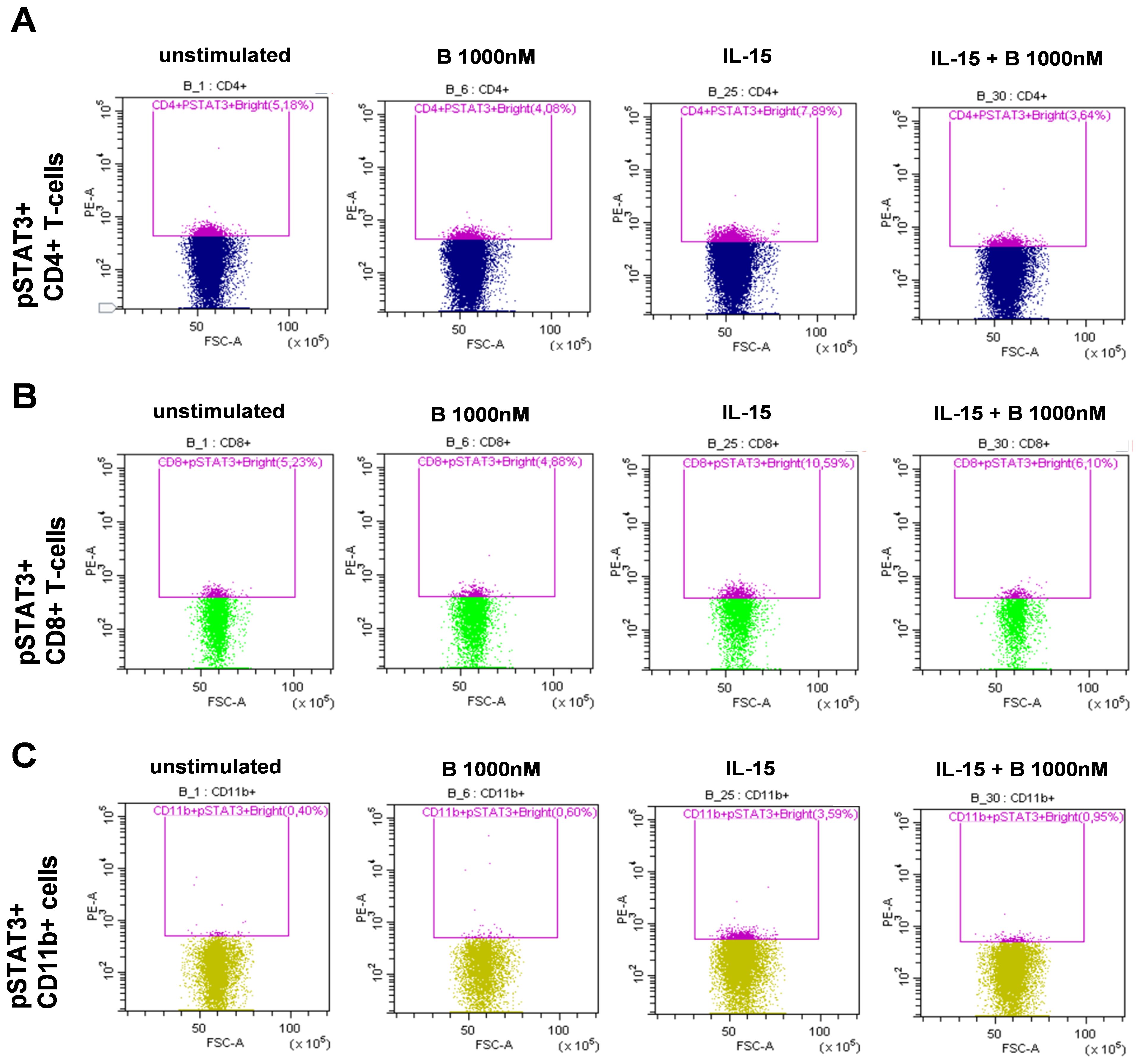 Flow cytometry plots illustrating pSTAT3+ cell populations under various conditions. Panel A shows CD4+ T-cells, Panel B shows CD8+ T-cells, and Panel C shows CD11b+ cells. Each panel compares unstimulated, B 1000 nM, IL-15, and IL-15 with B 1000 nM conditions. Plots display FSC-A versus PE-A, with percentage values indicating pSTAT3+ cells within each gated region.