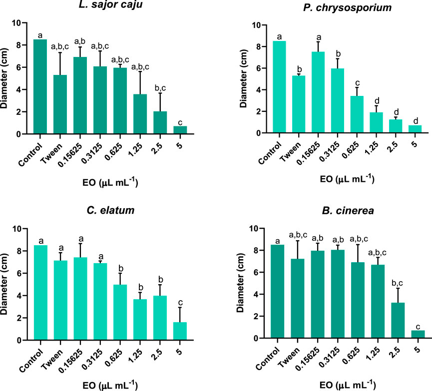 Comparative bar charts showing the effect of different concentrations of essential oil (EO) on the mycelial diameter of four fungi: L. sajor caju, P. chrysosporium, C. elatum, and B. cinerea. Each chart plots diameter in centimeters against EO concentrations, ranging from the control to 5 microliters per milliliter. Statistical significance is indicated by letters above bars, showing variation in fungal growth response.