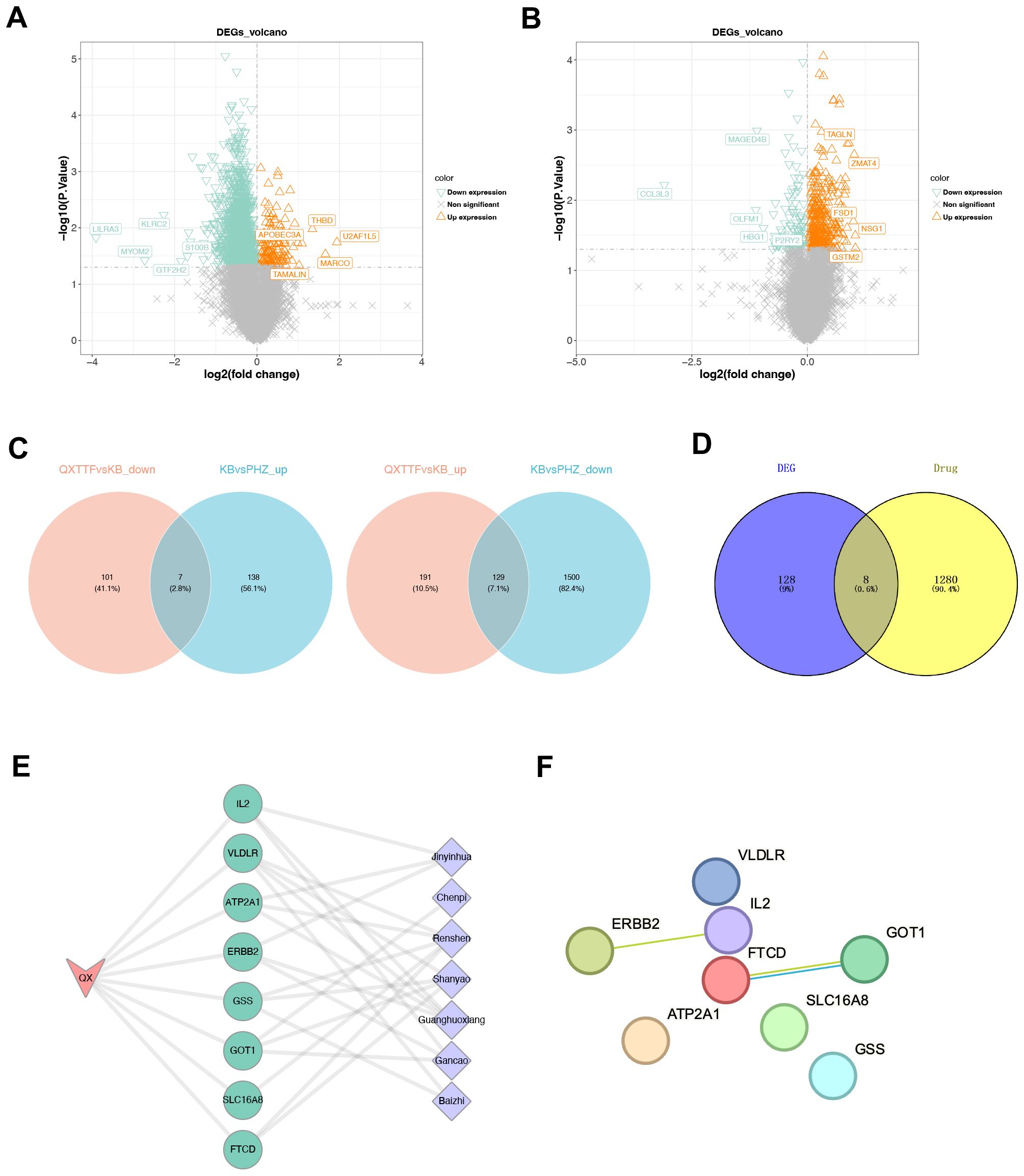 Panel A and B show volcano plots illustrating differentially expressed genes with colors indicating downregulated, upregulated, and non-significant genes. Panel C presents two Venn diagrams comparing gene expression overlaps, highlighting shared and unique features between conditions. Panel D displays a Venn diagram comparing DEGs and drug interactions. Panel E features a network diagram connecting genes and their interactions with specific terms. Panel F exhibits a gene interaction network with nodes representing genes and lines indicating relationships.