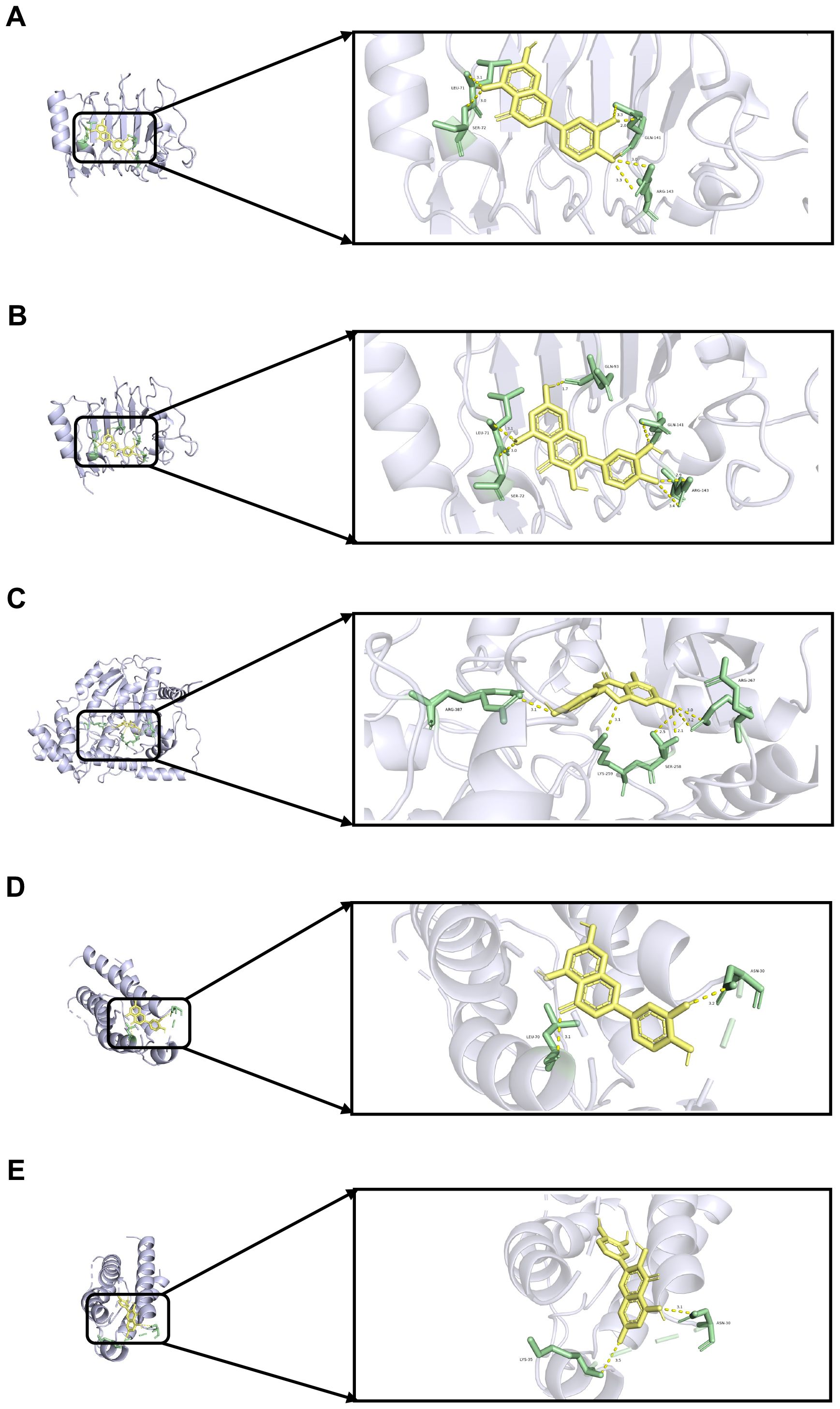 Molecular illustrations labeled A to E depict detailed views of protein-ligand interactions. Each panel shows a zoomed-in section of a protein structure in light purple, with a yellow ligand interacting through green active site residues. Key residues are labeled in each interaction area.