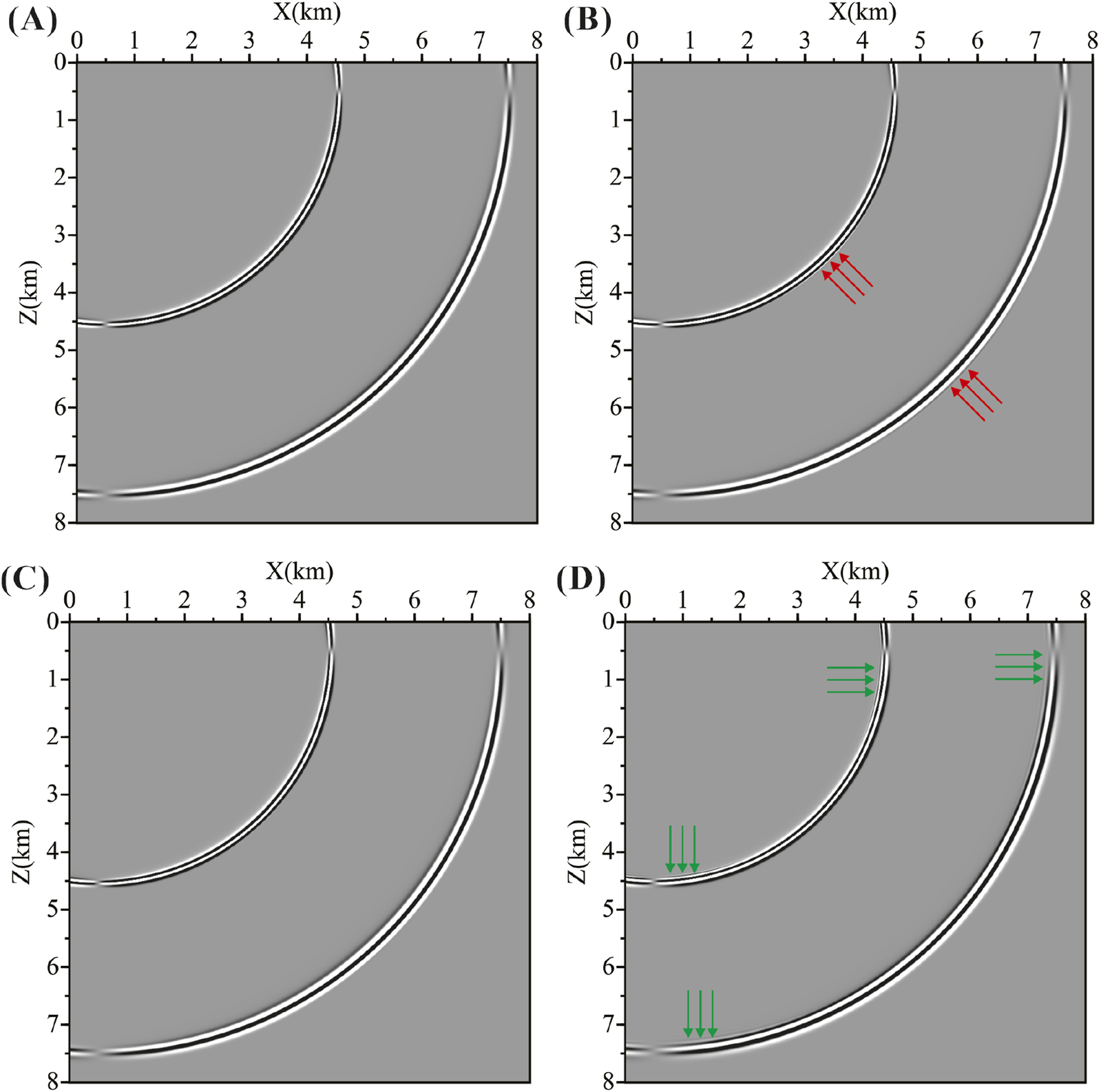 Graphical representation of wave propagation with depth in kilometers on the Z-axis and horizontal distance on the X-axis across four panels labeled A, B, C, and D. Panel A shows curved wave fronts. Panel B adds red arrows indicating wave propagation direction. Panel C outlines the wave fronts in black. Panel D uses green arrows to indicate direction in different sections. All diagrams are on a gray background.