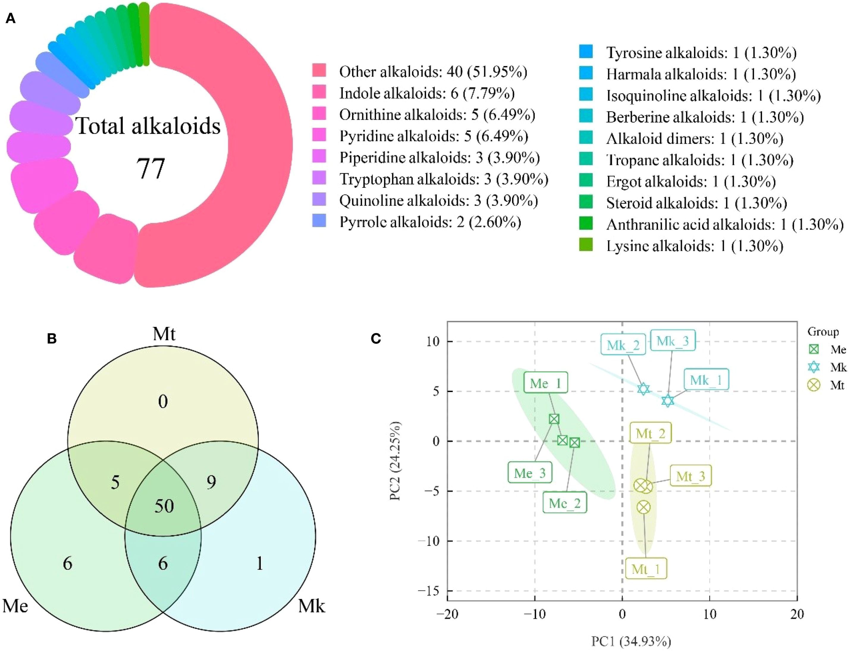 A composite image includes three parts: A) A colorful donut chart displays the distribution of 77 total alkaloids. Indole and other alkaloids represent the largest categories. B) A Venn diagram shows the overlap of alkaloid groups across Mt, Me, and Mk, with intersections containing numbers. C) A scatter plot analyzes principal component analysis (PCA) among three groups: Me, Mk, Mt, showing clusters and their variation along the PC1 and PC2 axes.