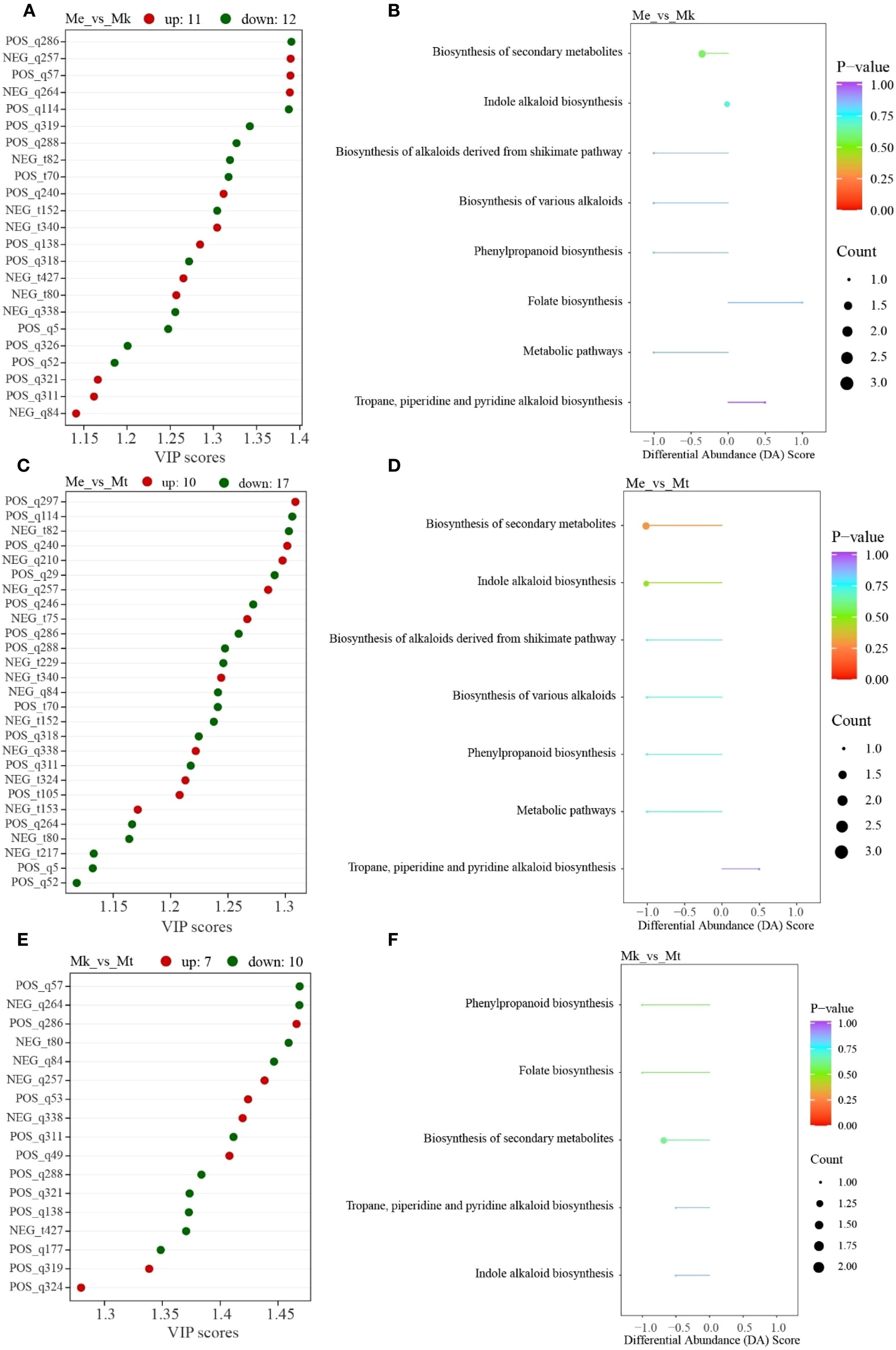 Panel of graphs depicting VIP scores and differential abundance scores for various biosynthesis pathways. The left column (A, C, E) shows scatter plots of VIP scores for comparisons: Me_vs_Mk, Me_vs_Mt, and Mk_vs_Mt, indicating upregulated (red) and downregulated (green) features. The right column (B, D, F) displays bar graphs of differential abundance scores for pathways like biosynthesis of secondary metabolites and alkaloid biosynthesis, with P-values indicated by color gradients. Count sizes are shown using different circle sizes.