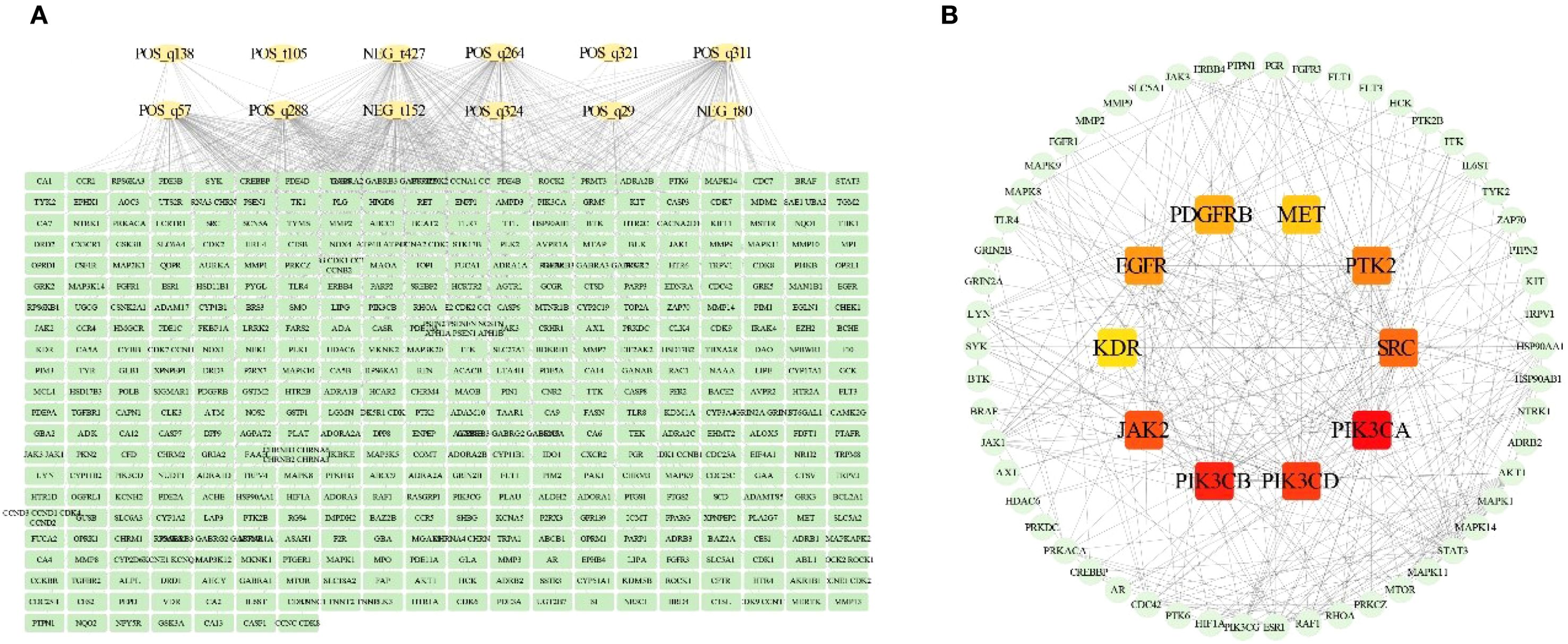 Diagram A shows a network of connections between several nodes marked in green and yellow, labeled with codes such as POS_q138 and NEG_t427. Diagram B presents a circular network graph with nodes labeled by abbreviations like EGFR, SRC, and PDGFRB. Nodes are connected with numerous intersecting lines, highlighting complex interactions. Central nodes like PIK3CA are in red, indicating significance.