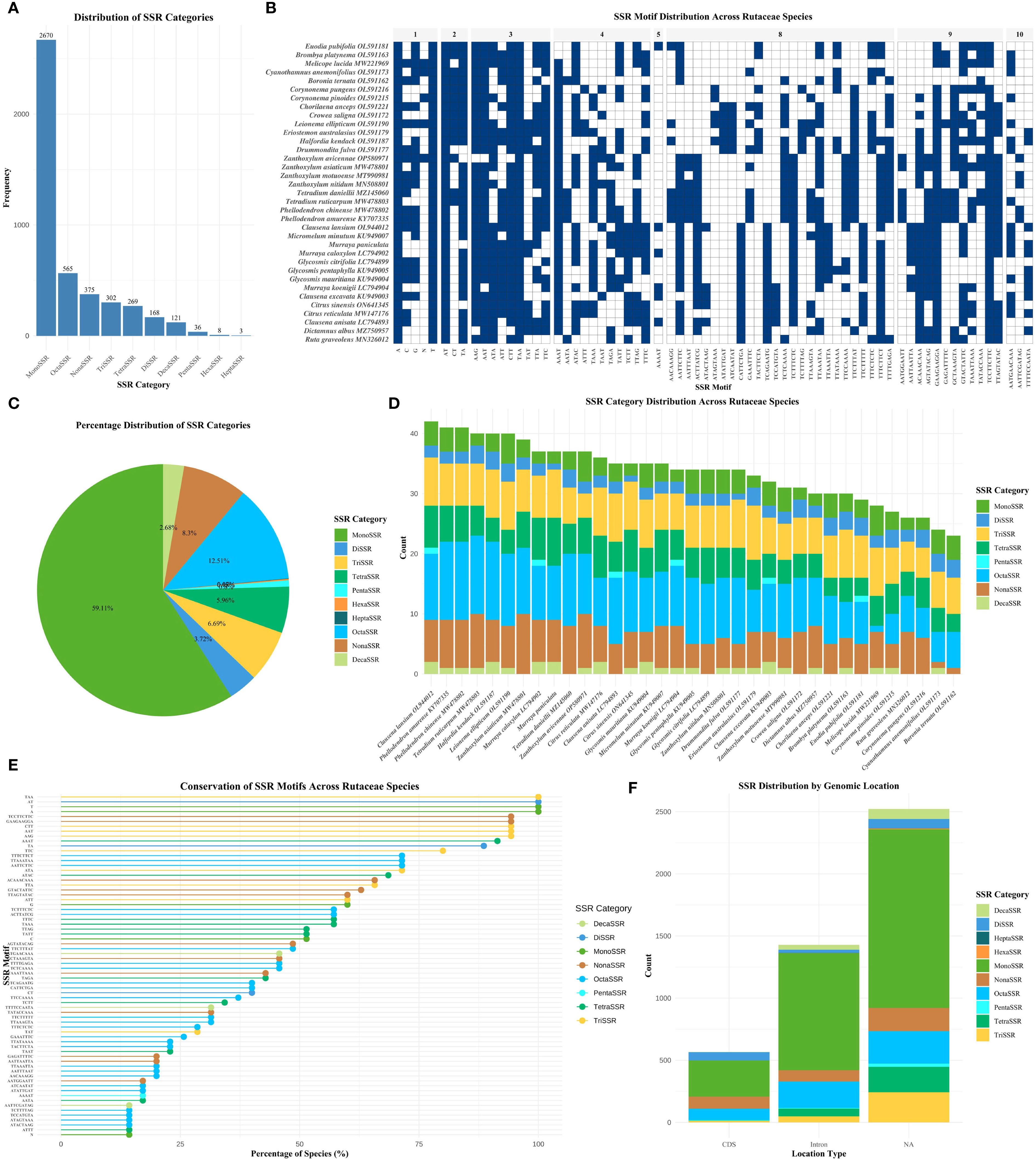 Six-panel infographic showing SSR data across Rutaceae species: A. Bar chart of SSR category distribution, peaking at 3,576 for MonoSSR. B. Heatmap of SSR motif distribution, displaying binary presence across species. C. Pie chart showing percentage distribution, MonoSSR at 39.11%. D. Stacked bar chart detailing SSR category distribution per species, diverse category colors. E. Line chart illustrating SSR motif conservation across species, ranging from 0-100%. F. Stacked bar chart of SSR distribution by genomic location, with peaks in CDS and N/A categories.