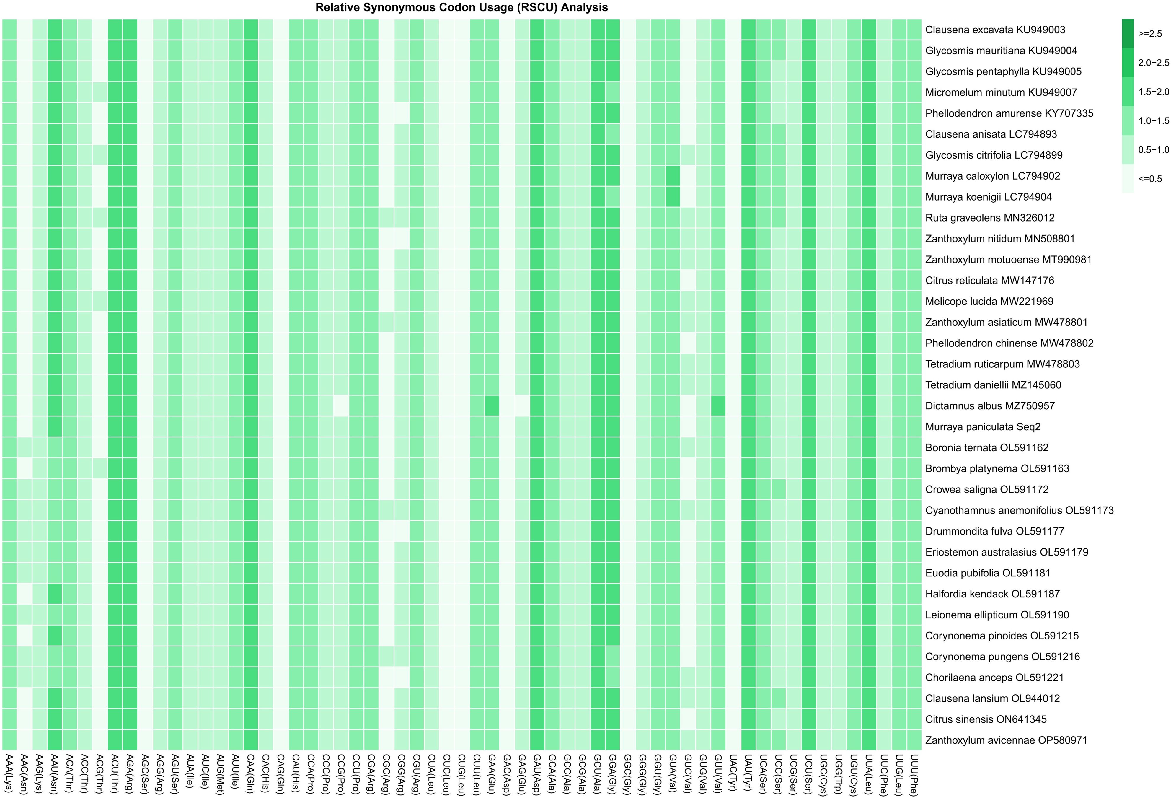Heatmap showing Relative Synonymous Codon Usage (RSCU) for various species, with columns representing codons and rows indicating species names. Color intensity from light green to dark green represents increasing RSCU levels from less than 0.5 to 2.5 or more.