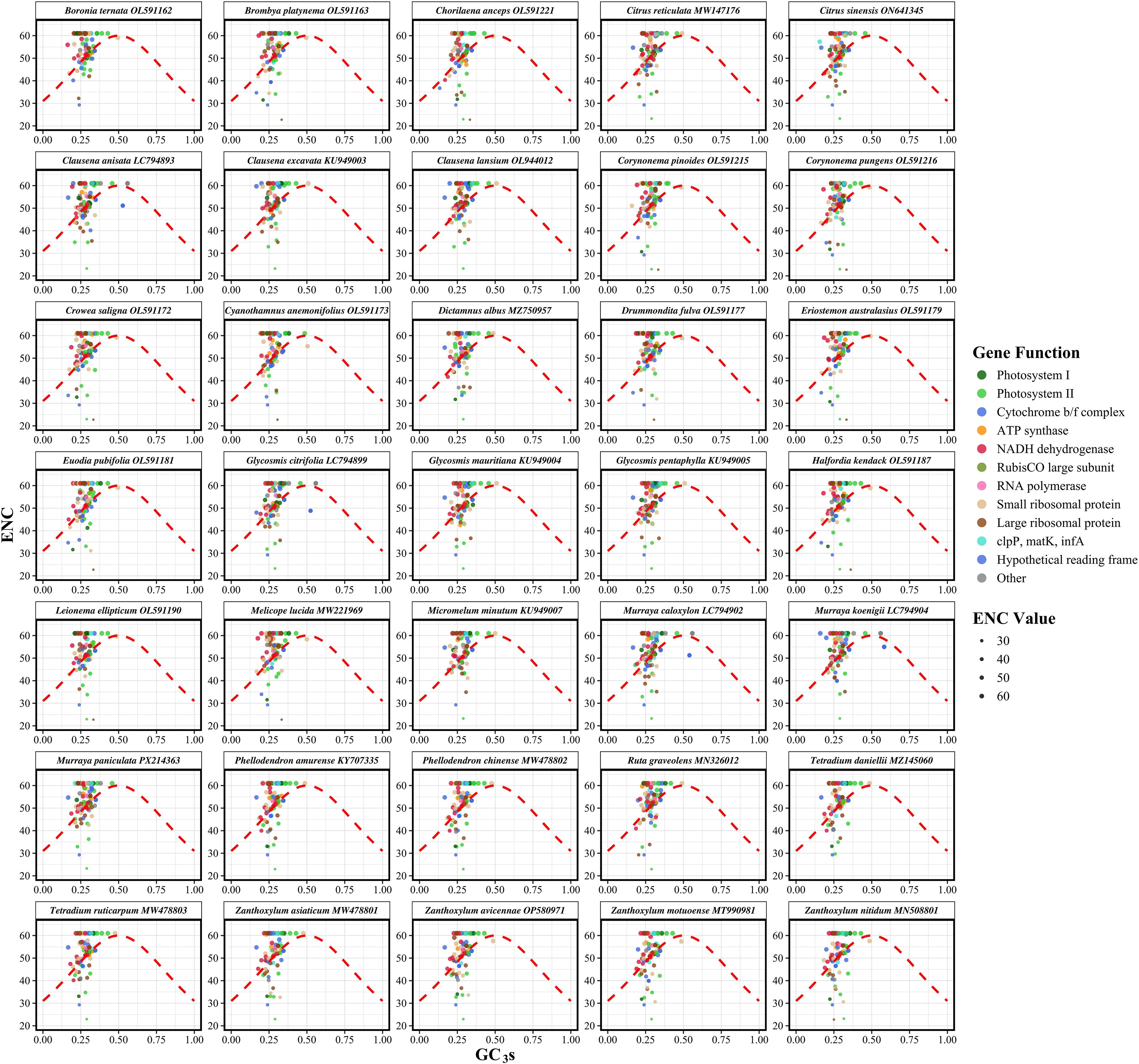 Grid of 30 scatter plots showing relationships between ENC and GC3s values for different species, each represented in separate panels. Data points are color-coded by gene function, including photosystems, cytochrome, and others, with values between 10 and 60. A red dashed line shows a trend. The legend indicates functions and ENC values.