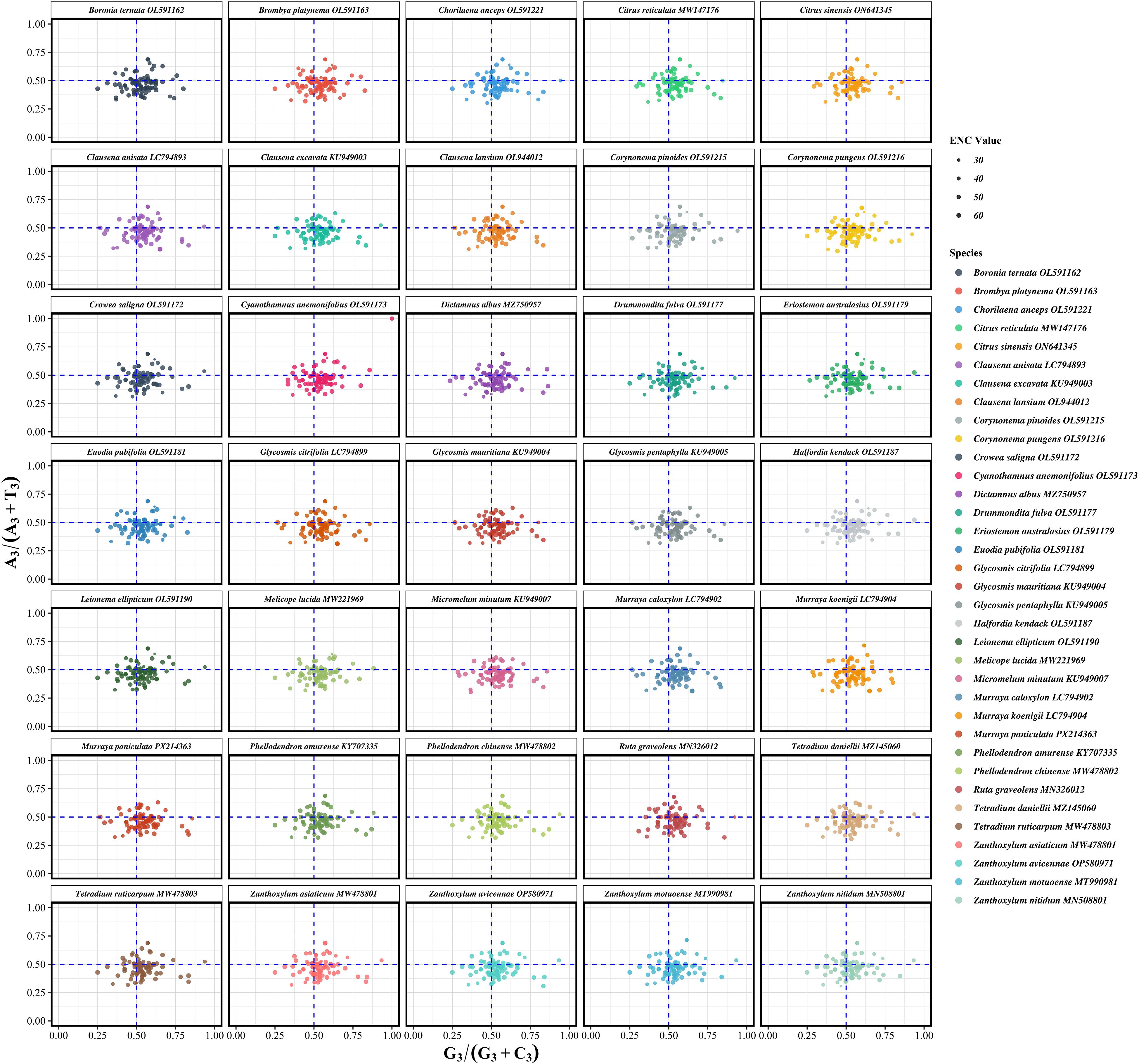 Grid of 32 scatter plots showing genetic data for different plant species. Each plot has labeled axes \(A_{A3} / (A_{A3} + T_3)\) and \(G_{3s} / (G_{3s} + C_{3s})\), with dots colored based on ENC values ranging from 30 to 60. Labels denote specific species and their accession numbers. A legend on the right associates colors with species names.